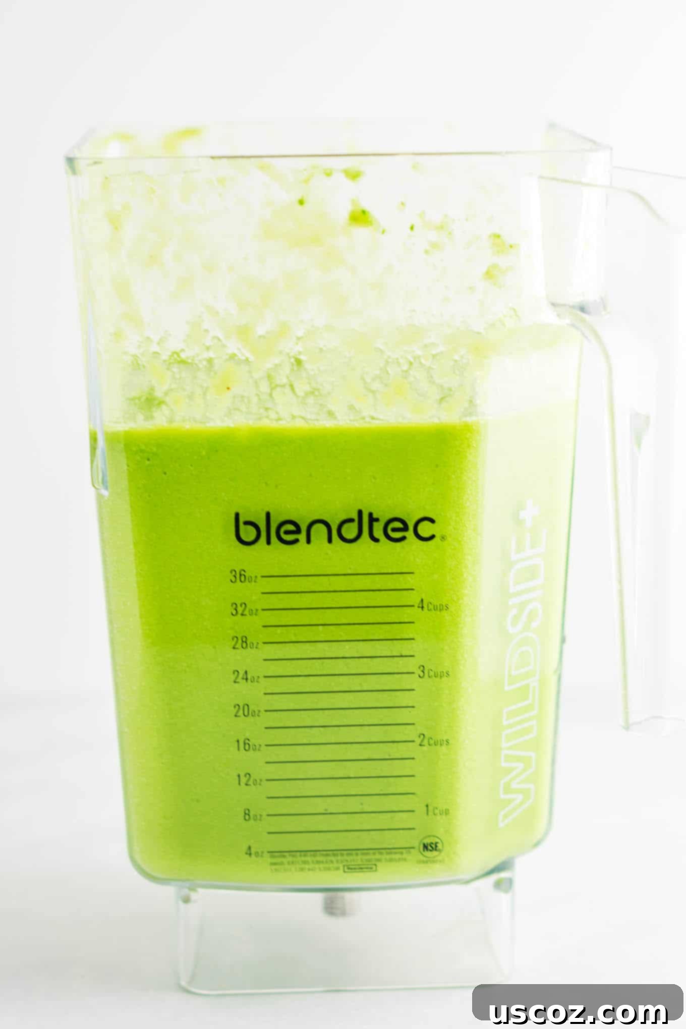 Vibrant Citrus Kale Green Smoothie 5 blender full of green smoothie