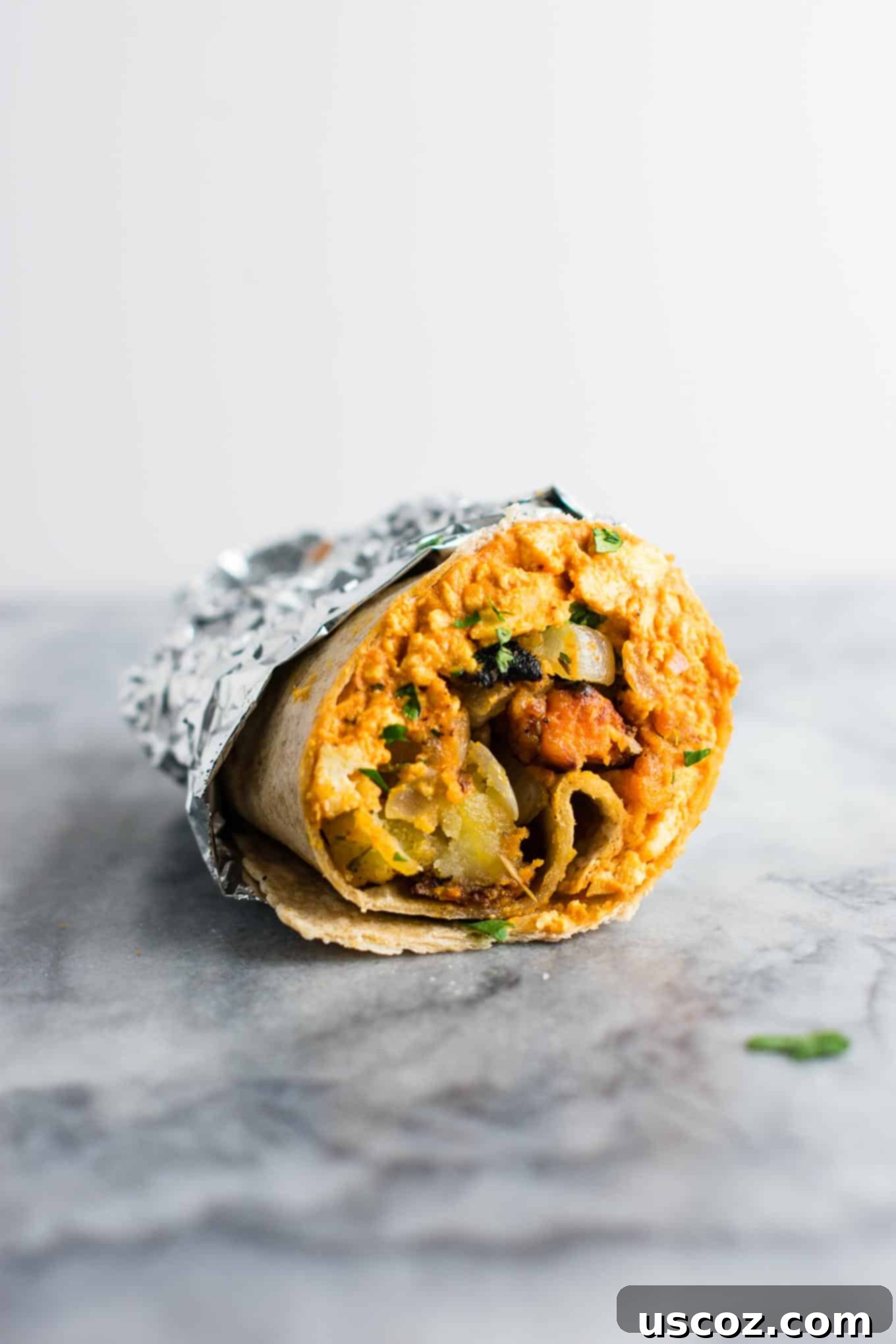Plant-Based Breakfast Burrito Bliss 11 A single vegan breakfast burrito on a rustic plate, ready to eat.