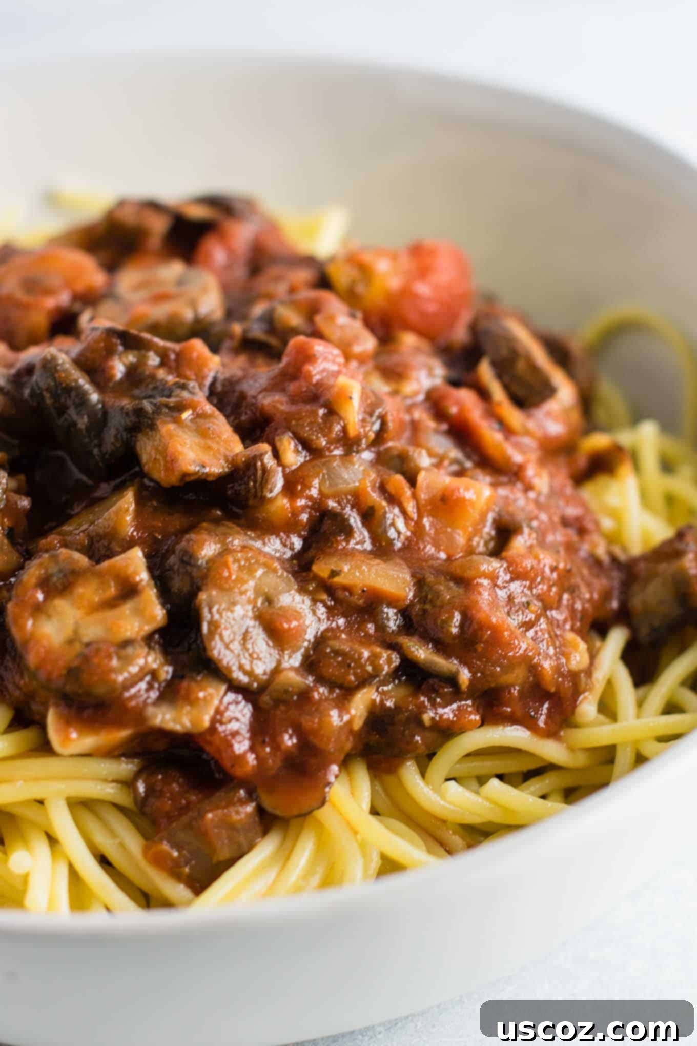 Delicious Vegetarian Spaghetti Sauce 2 vegan spaghetti sauce over white spaghetti noodles in a bowl