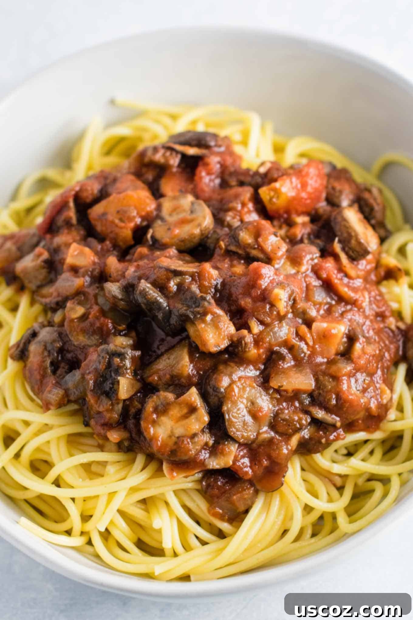 Delicious Vegetarian Spaghetti Sauce 13 chunky mushroom pasta sauce over noodles