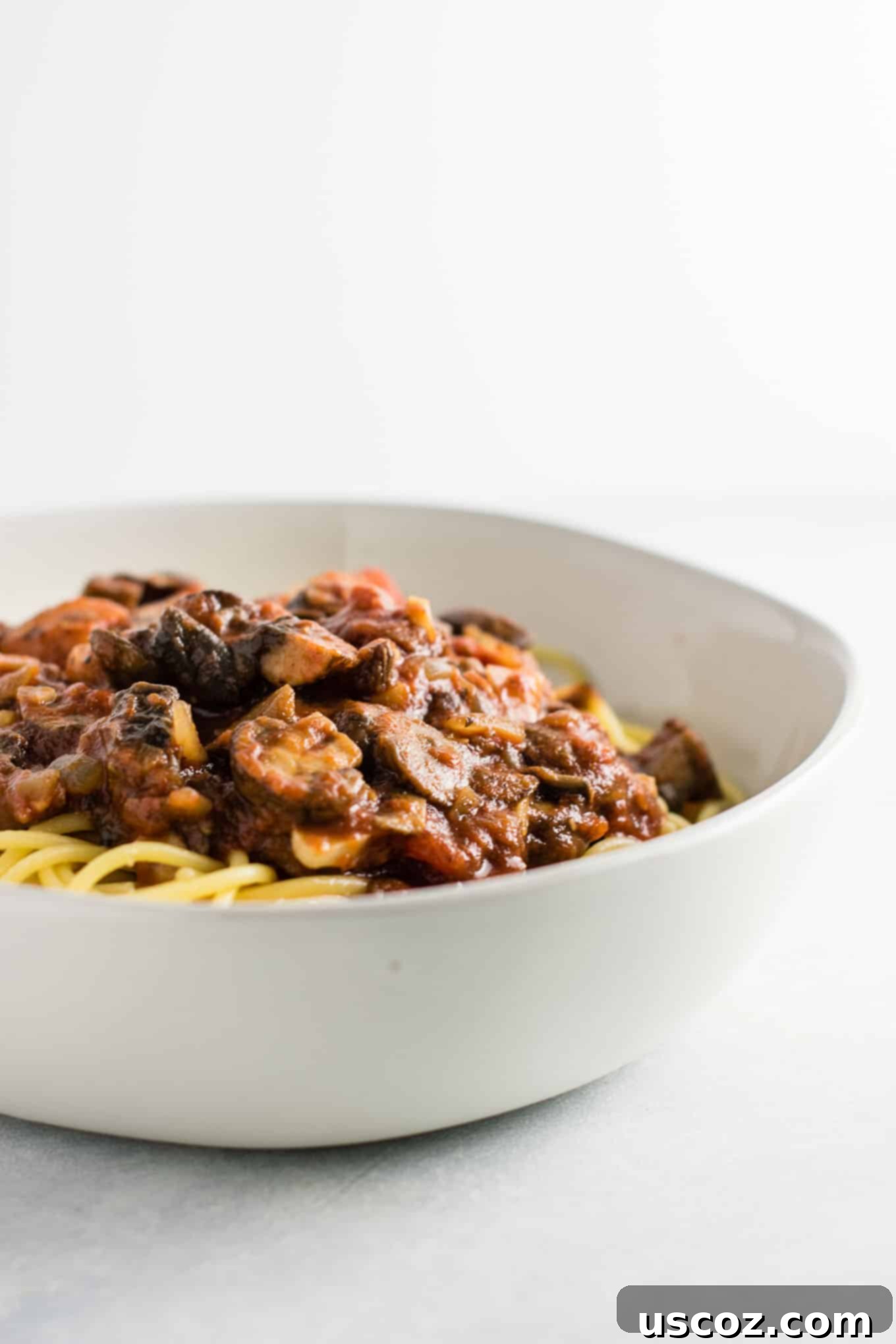 Delicious Vegetarian Spaghetti Sauce 16 up close texture of the meatless mushroom pasta sauce