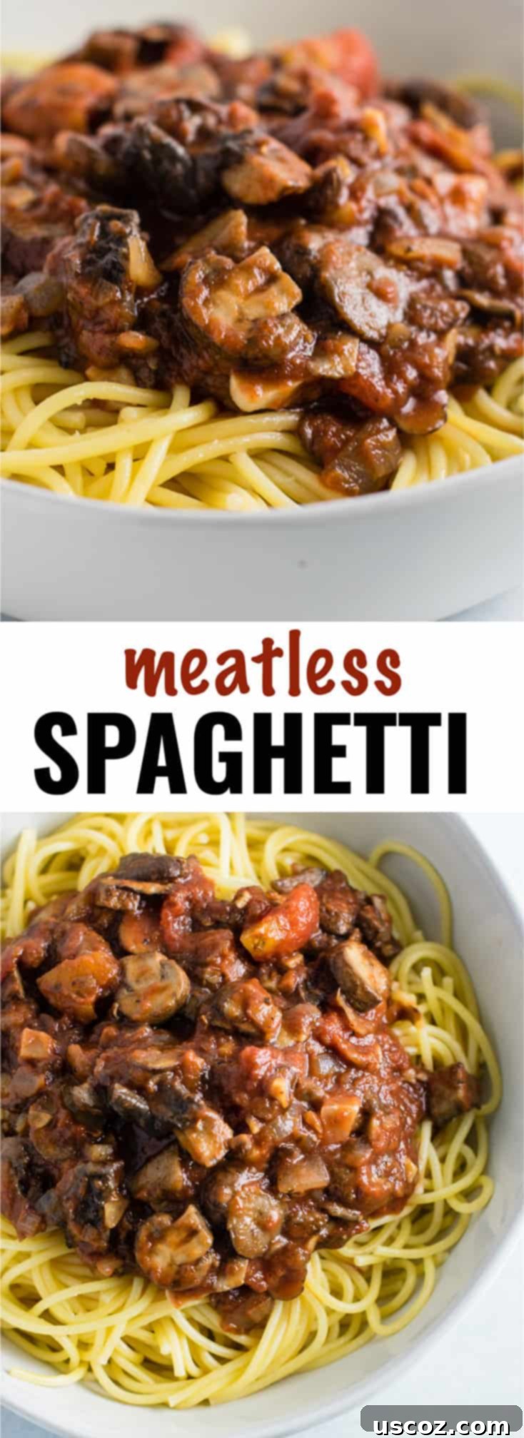 Delicious Vegetarian Spaghetti Sauce 19 Easy meatless spaghetti sauce recipe made with mushrooms, garlic, and onions. A delicious “meaty” vegetarian spaghetti recipe. #meatless #spaghetti #vegetarian #meatlessspaghetti
