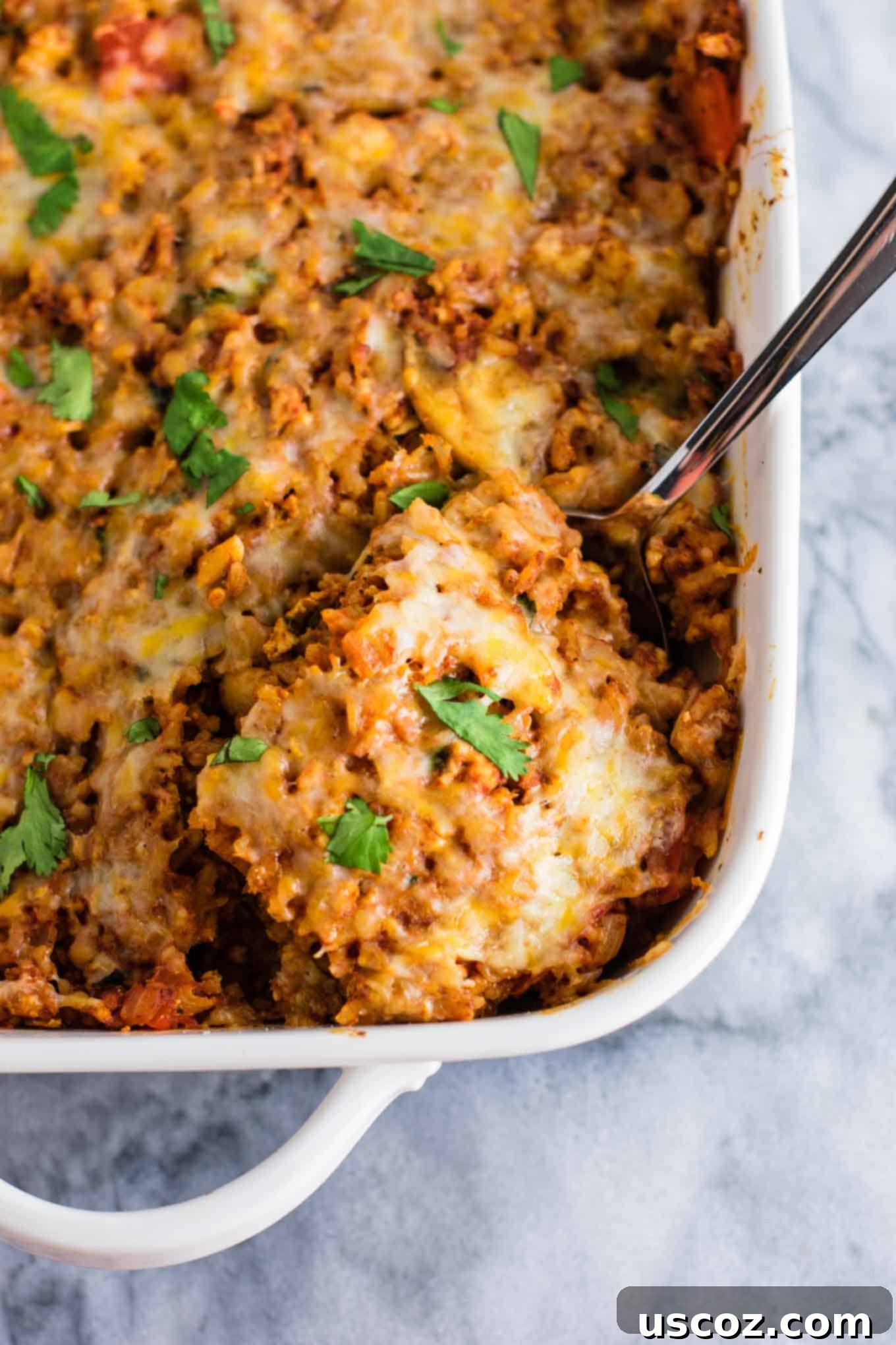 Spicy Mexican Tofu Rice Bake 2 Delicious Tofu Mexican Rice Casserole, a healthier vegetarian dish with scrambled tofu, bell peppers, and mushrooms, served with chips and sour cream.