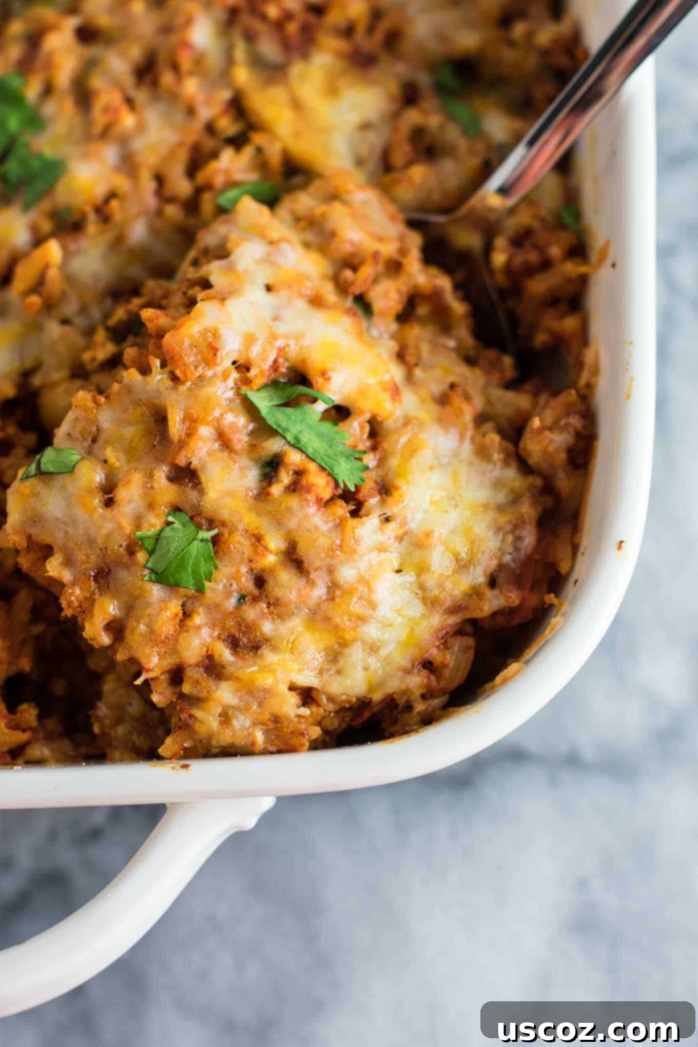 Spicy Mexican Tofu Rice Bake 12 A vibrant and colorful Tofu Mexican Rice Casserole dish, garnished with fresh cilantro, ready to be served.