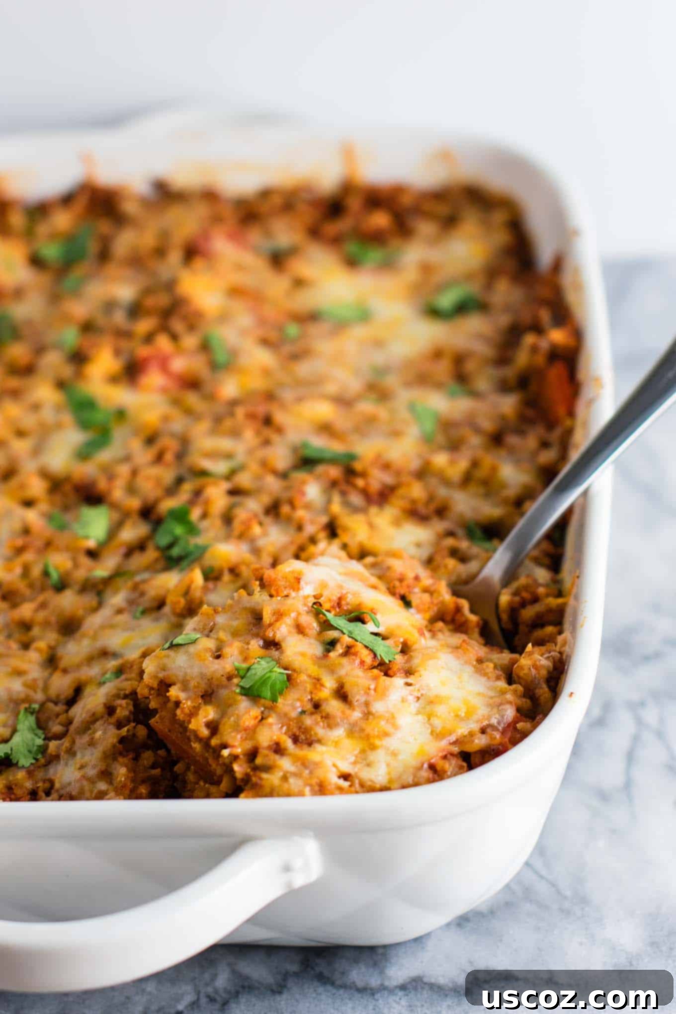 Spicy Mexican Tofu Rice Bake 4 A serving of Tofu Mexican Rice Casserole in a bowl, topped with a dollop of sour cream and fresh cilantro.