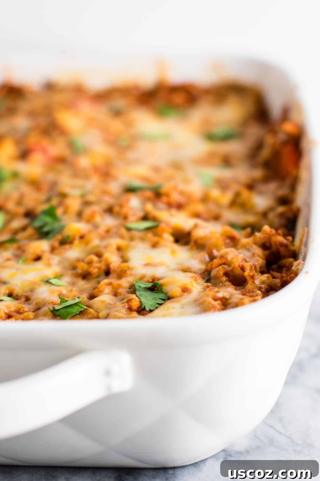 Spicy Mexican Tofu Rice Bake 10 Tofu Mexican Rice Casserole in a serving dish, garnished with fresh cilantro and a lime wedge.