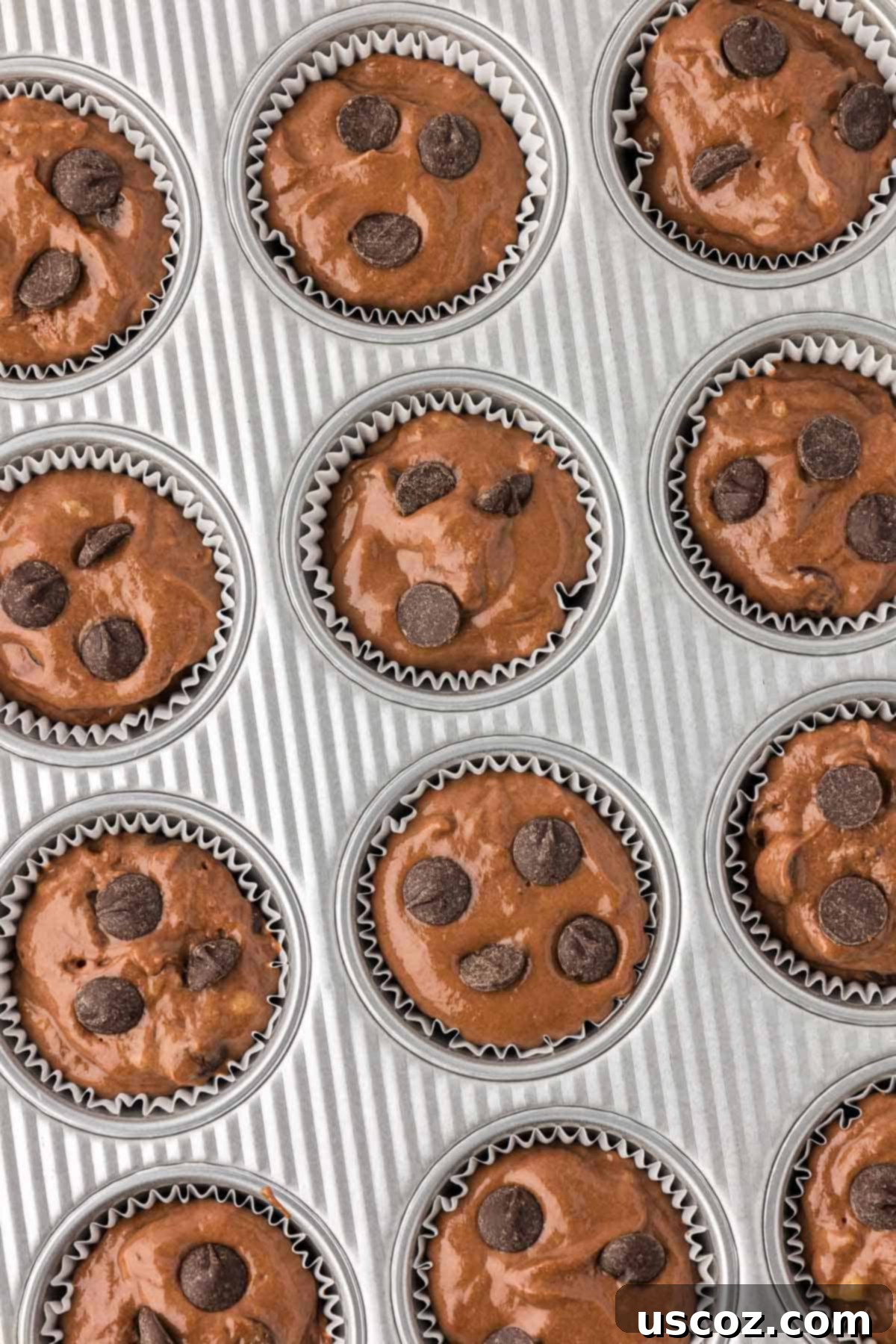 Nourishing Chocolate Muffins 13 Muffin batter in a muffin tin topped with extra chocolate chips
