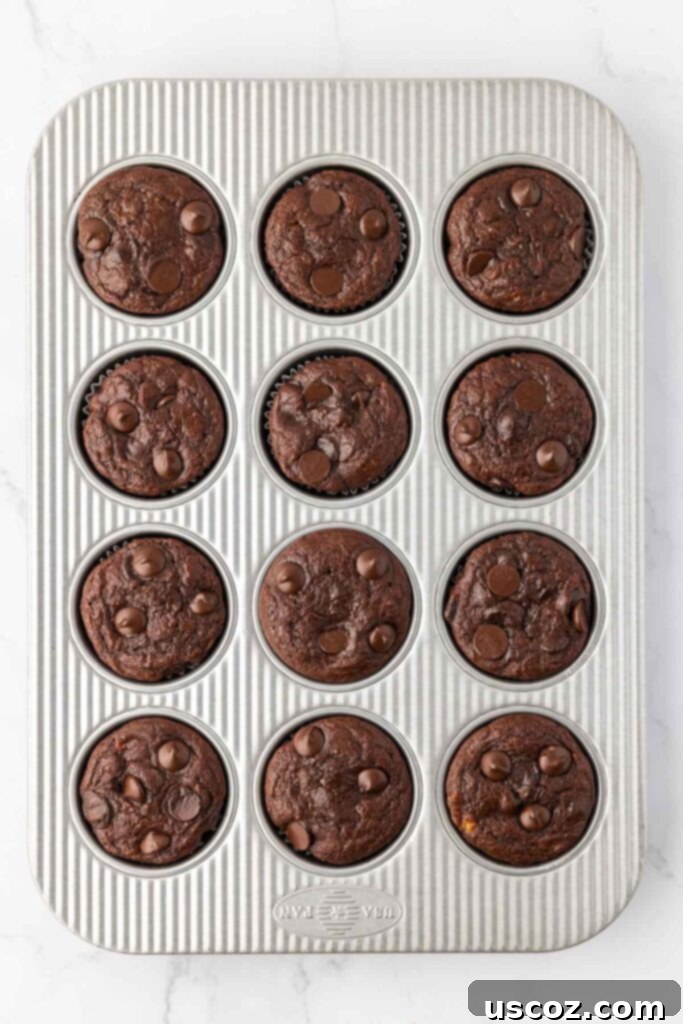Nourishing Chocolate Muffins 15 Freshly baked chocolate muffins in a muffin tin