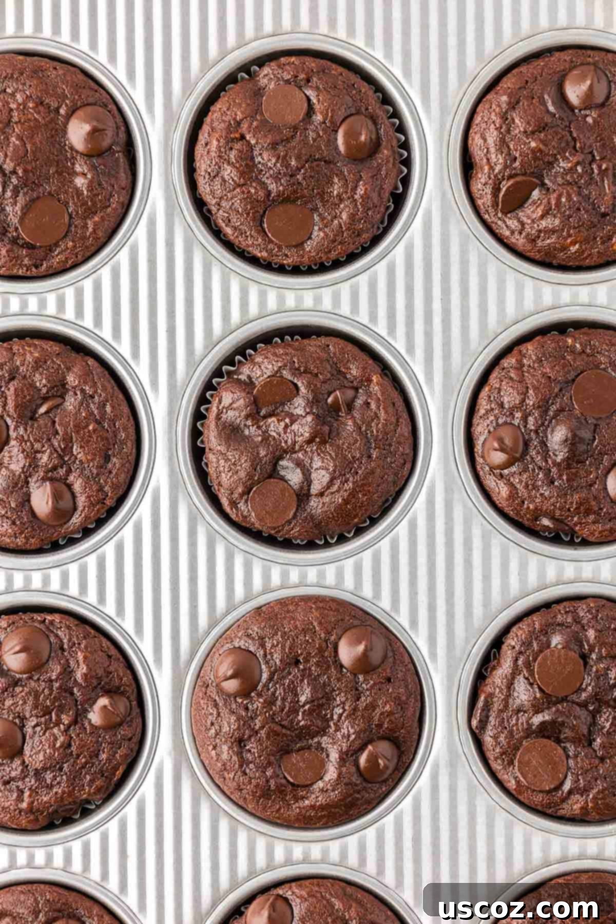 Nourishing Chocolate Muffins 16 Healthy chocolate muffins in a tin, cooling