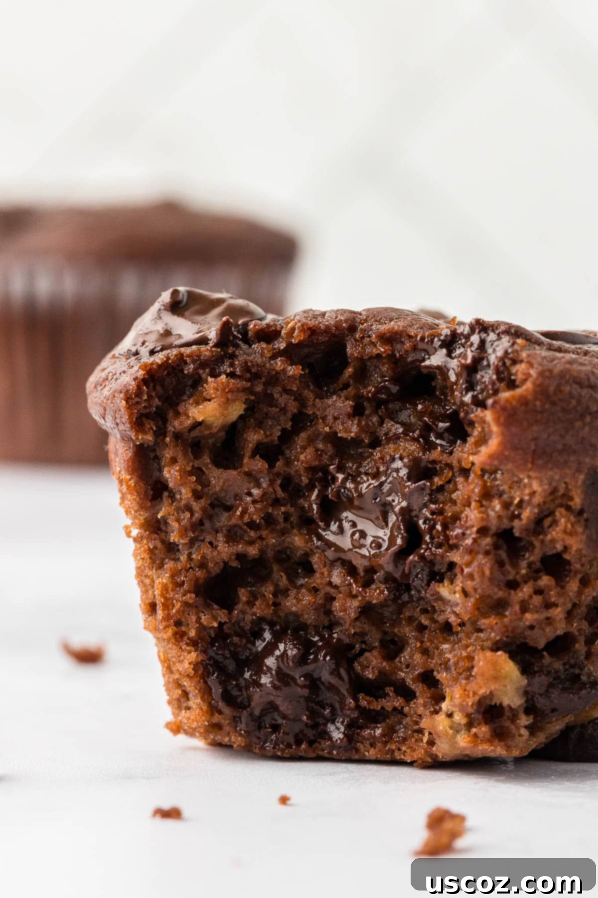 Nourishing Chocolate Muffins 3 healthy chocolate muffin with a bite taken out, showing the moist interior
