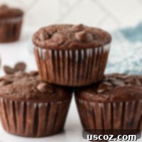 Nourishing Chocolate Muffins 21 healthy chocolate muffins