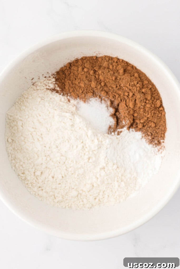 Nourishing Chocolate Muffins 5 Dry ingredients for muffins in a mixing bowl
