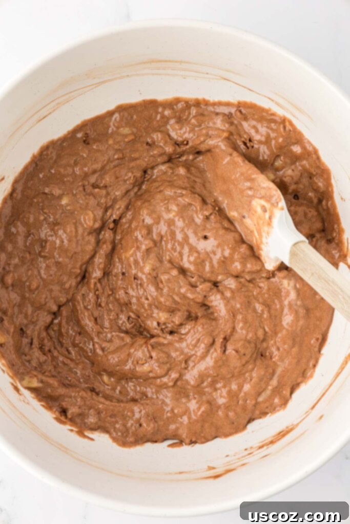 Nourishing Chocolate Muffins 10 Chocolate muffin batter in a mixing bowl, just combined