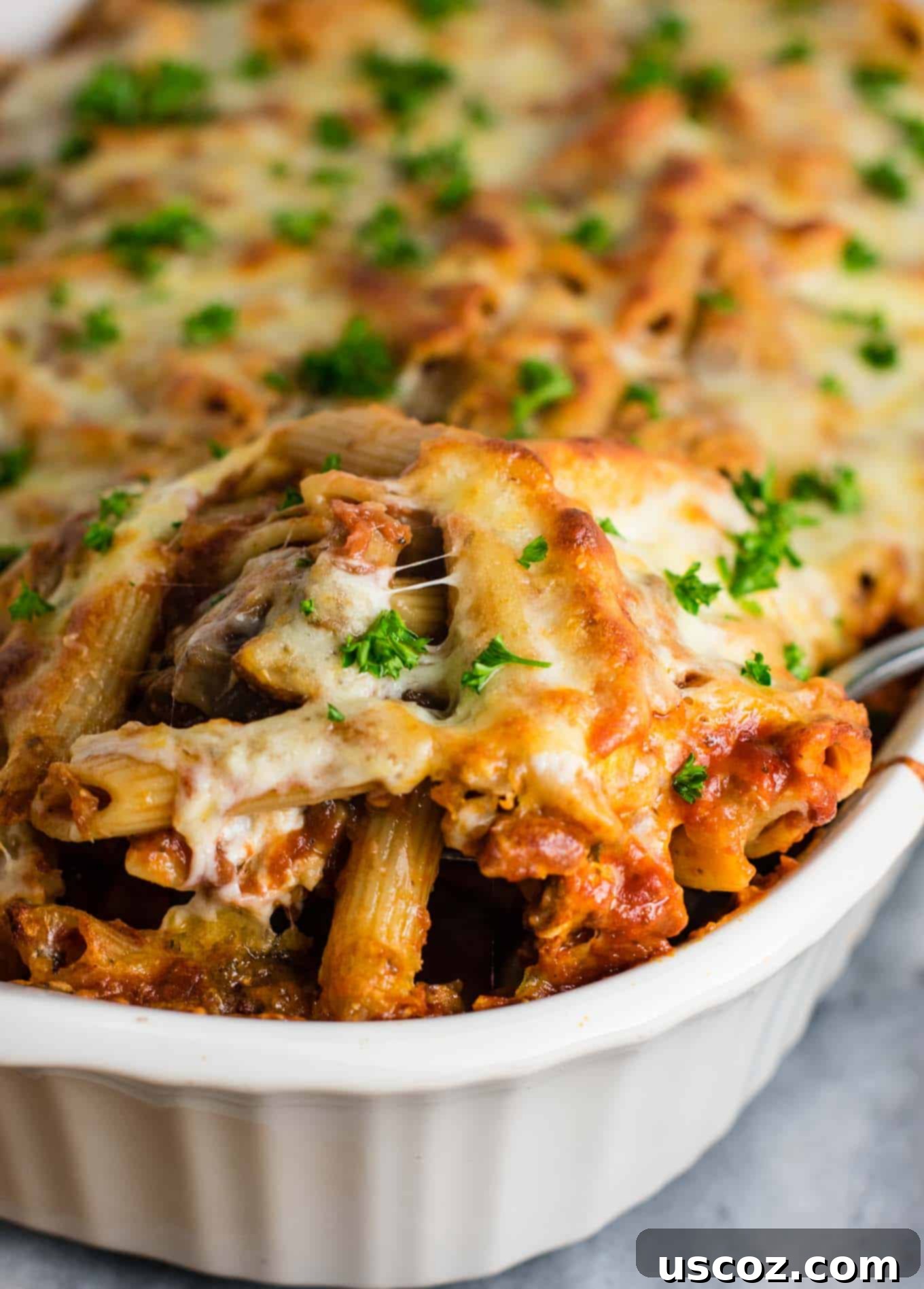 Million Dollar Meatless Baked Ziti 12 This Meatless Million Dollar Baked Ziti Recipe is an easy and impressive vegetarian dinner