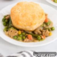Garden Harvest Pie 14 veggie pot pie topped with a biscuit on a plate