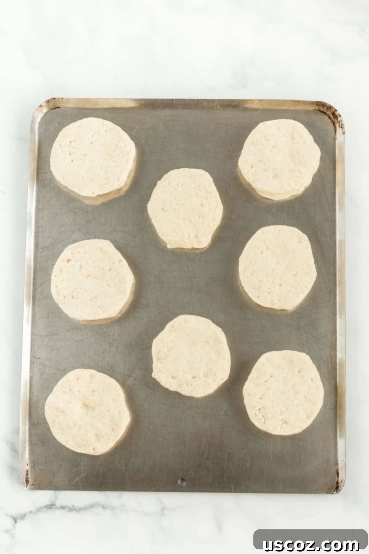 Garden Harvest Pie 8 Ready-to-bake biscuits neatly arranged and spread out on a baking sheet, ready to be placed in the oven for a golden, flaky crust.