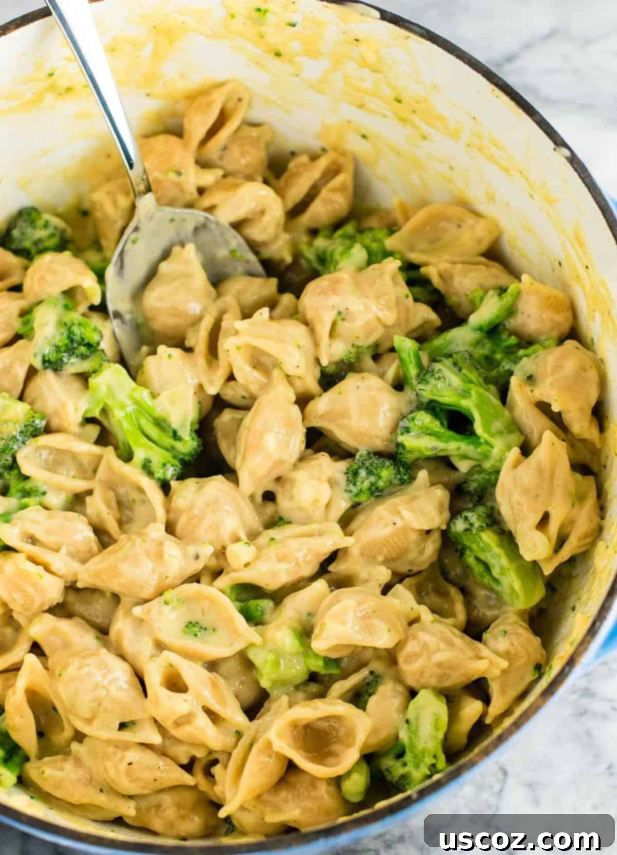 The Ultimate Broccoli Mac and Cheese 2 Lightened up broccoli mac and cheese with sharp cheddar cheese and whole wheat pasta. The healthiest way to justify eating macaroni and cheese for dinner. Kids will love this one! #broccolishellsandcheese #macandcheese #healthy #dinner #vegetarian #meatless #pasta #wholewheat