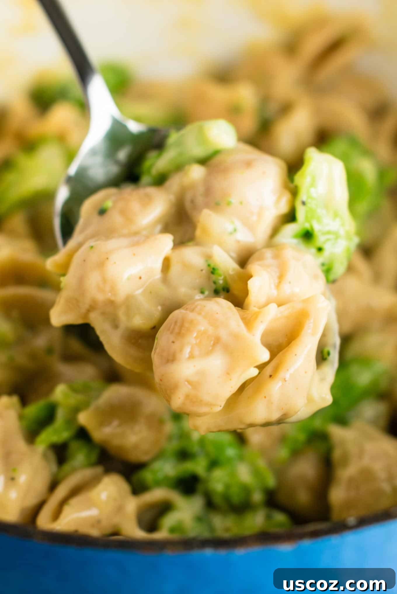 The Ultimate Broccoli Mac and Cheese 5 Lightened up broccoli mac and cheese with sharp cheddar cheese and whole wheat pasta. The healthiest way to justify eating macaroni and cheese for dinner. Kids will love this one! #broccolishellsandcheese #macandcheese #healthy #dinner #vegetarian #meatless #pasta #wholewheat