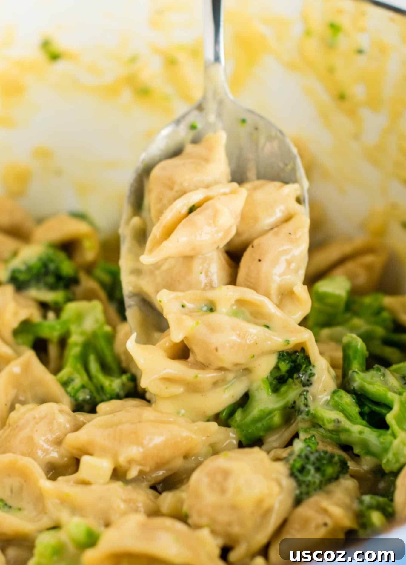 The Ultimate Broccoli Mac and Cheese 9 Lightened up broccoli shells and cheese with sharp cheddar cheese and whole wheat pasta. The healthiest way to justify eating macaroni and cheese for dinner. Kids will love this one! #broccolishellsandcheese #macandcheese #healthy #dinner #vegetarian #meatless #pasta #wholewheat