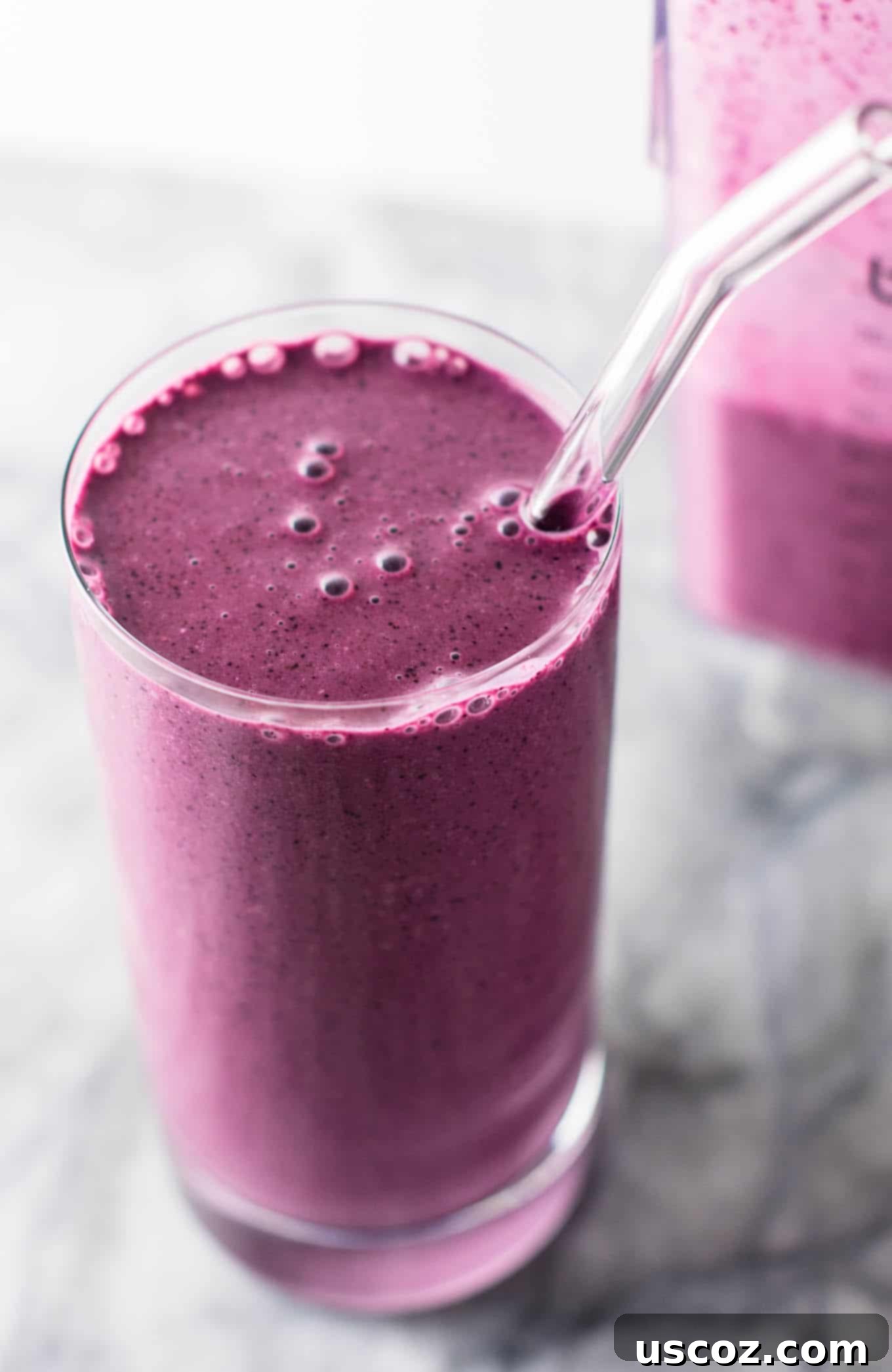Blueberry Pie Bliss Blend 12 Healthy blueberry pie smoothie recipe with greek yogurt and rolled oats. A breakfast or dessert full of juicy blueberry flavor! #healthy #blueberrysmoothie #blueberrypiesmoothie #vegetarian #greekyogurt #lemonzest #glutenfree