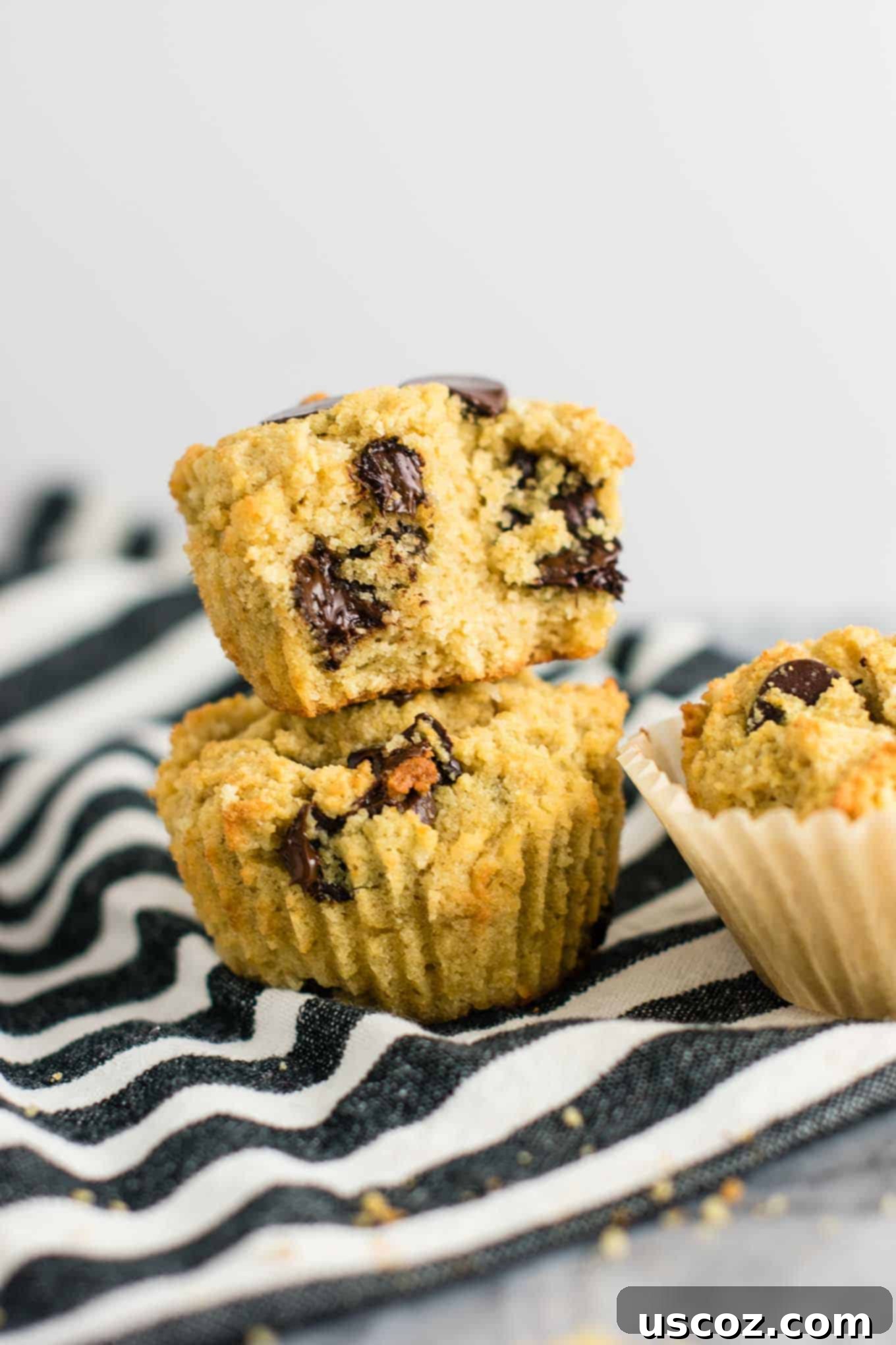 Heavenly Gluten-Free Chocolate Chip Muffins 2 Light and fluffy gluten-free chocolate chip muffins, made dairy-free with coconut flour and oat flour. Naturally sweetened, perfect for breakfast!