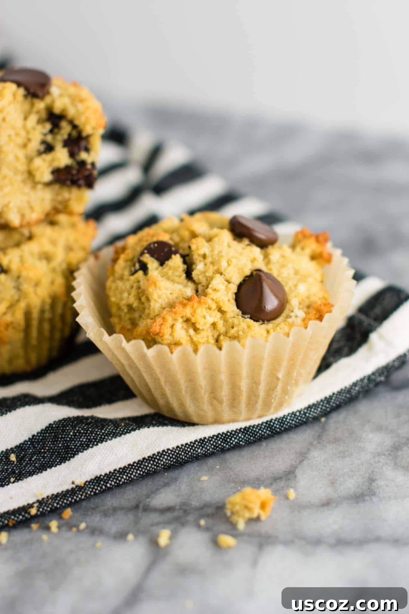 Heavenly Gluten-Free Chocolate Chip Muffins 3 Dairy-free chocolate chip muffin recipe showcasing a soft, golden-brown muffin with visible chocolate chips.