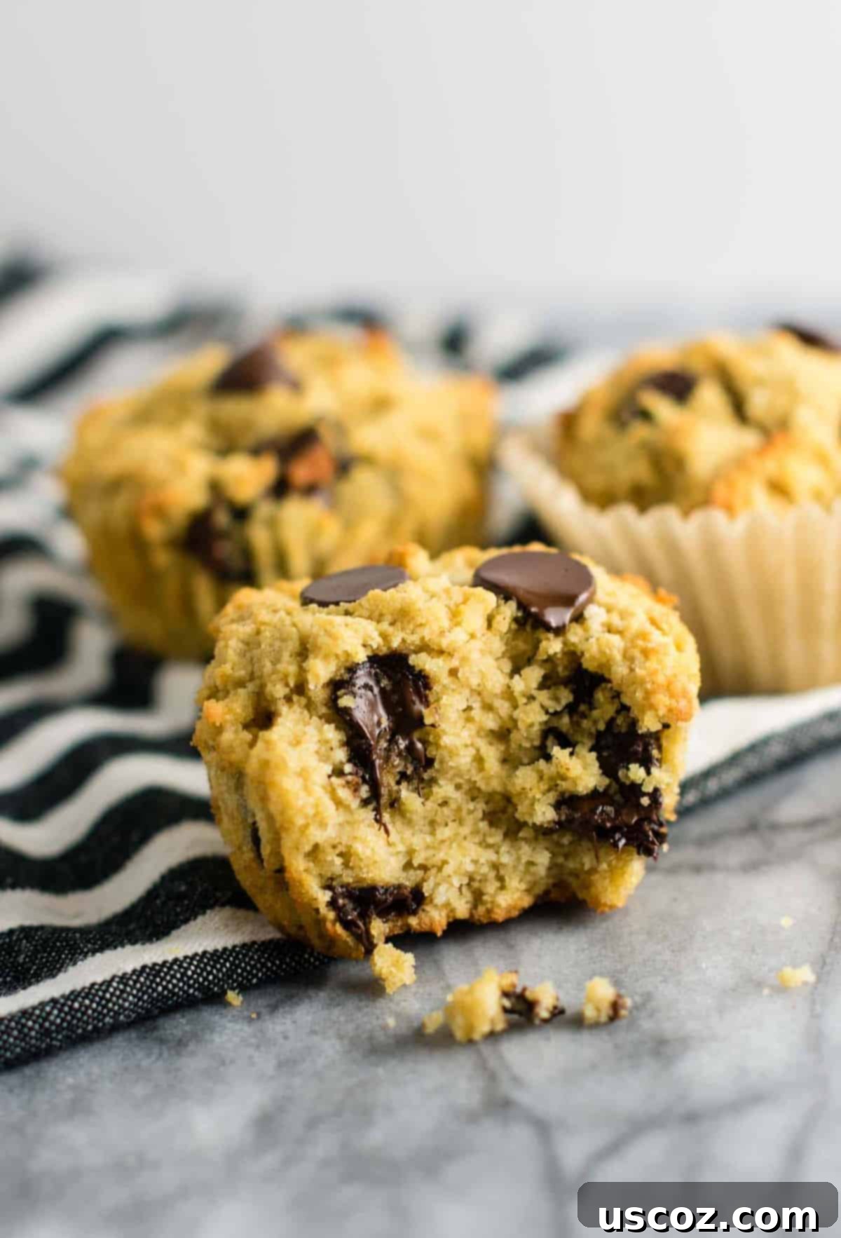 Heavenly Gluten-Free Chocolate Chip Muffins 6 Delicious gluten-free dairy-free chocolate chip muffins, naturally sweetened and baked to perfection with coconut and oat flour.