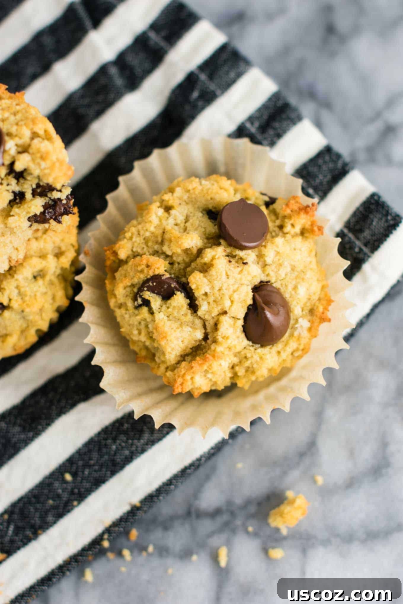 Heavenly Gluten-Free Chocolate Chip Muffins 7 Gluten-free, dairy-free chocolate chip muffins, a perfect breakfast or snack, made with oat and coconut flour.