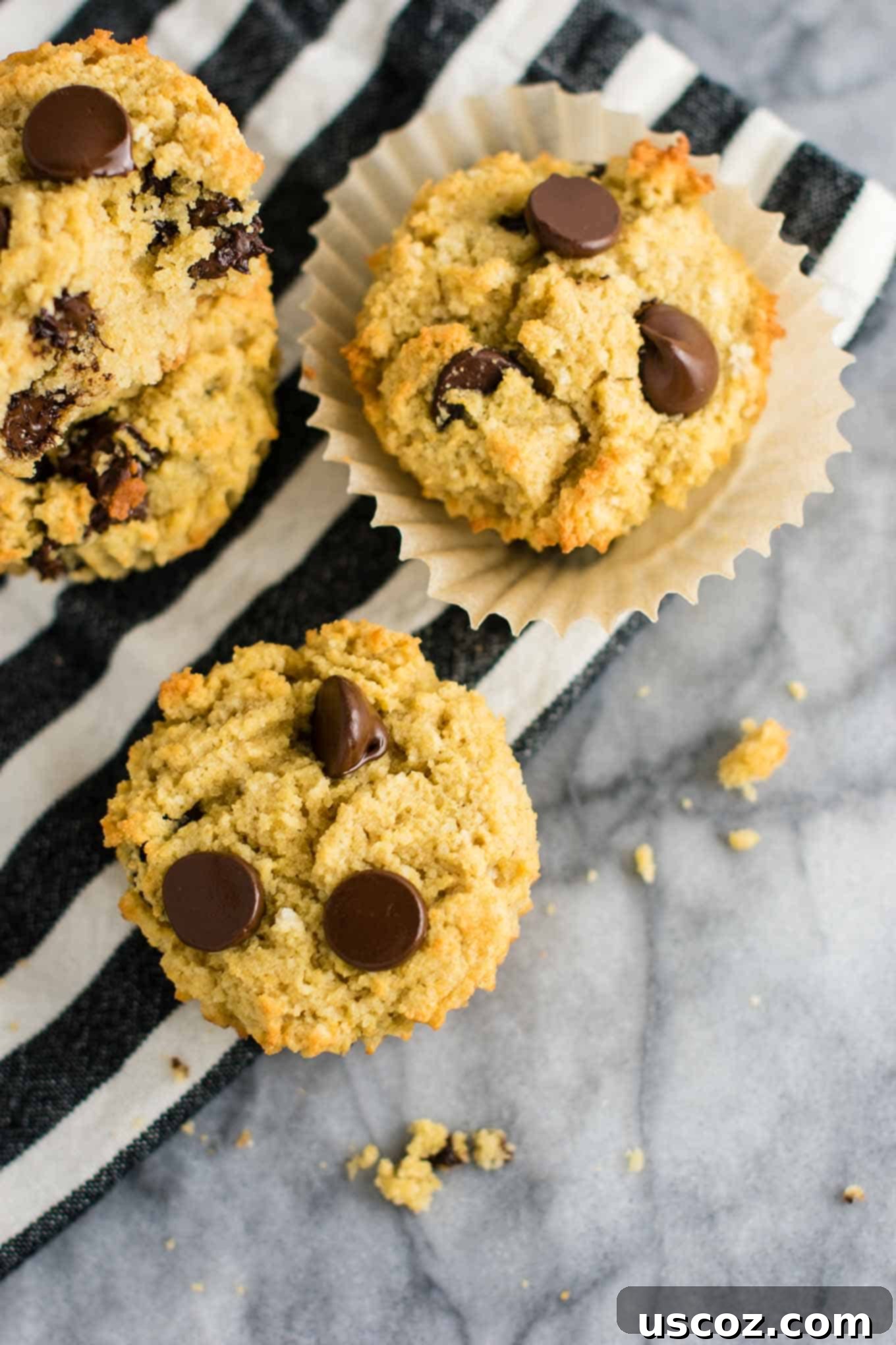 Heavenly Gluten-Free Chocolate Chip Muffins 8 Close-up of a gluten-free dairy-free chocolate chip muffin, showing its soft interior and melted chocolate.