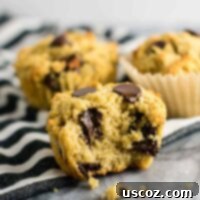 Heavenly Gluten-Free Chocolate Chip Muffins 10 Gluten-free chocolate chip muffins (dairy-free) Made with coconut flour and oat flour and naturally sweetened! #breakfast #glutenfree #chocolatechipmuffins #glutenfreedairyfree #dairyfree