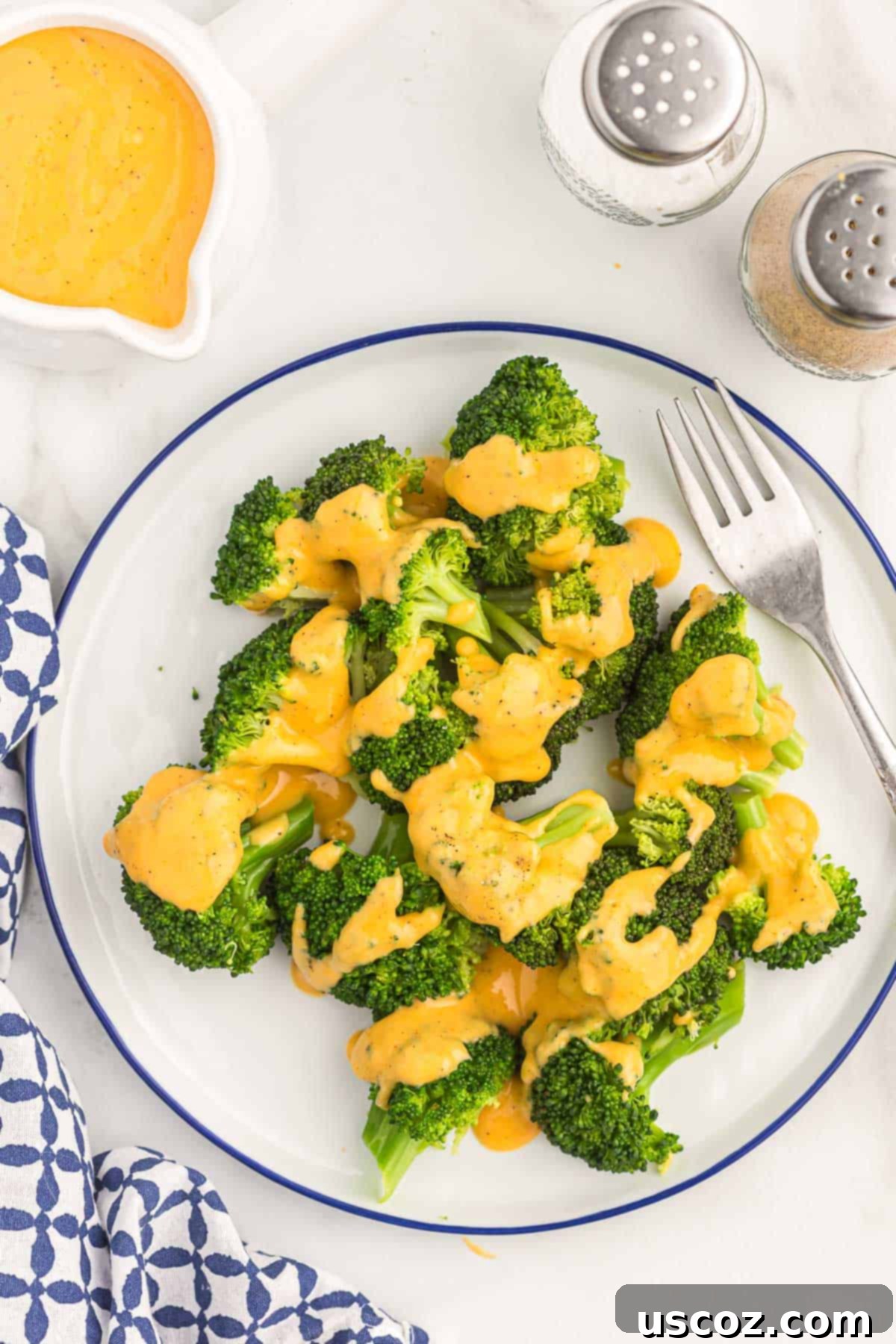 Ultimate Cheesy Broccoli Sauce 13 A beautifully plated serving of cheese sauce drizzled over steamed broccoli