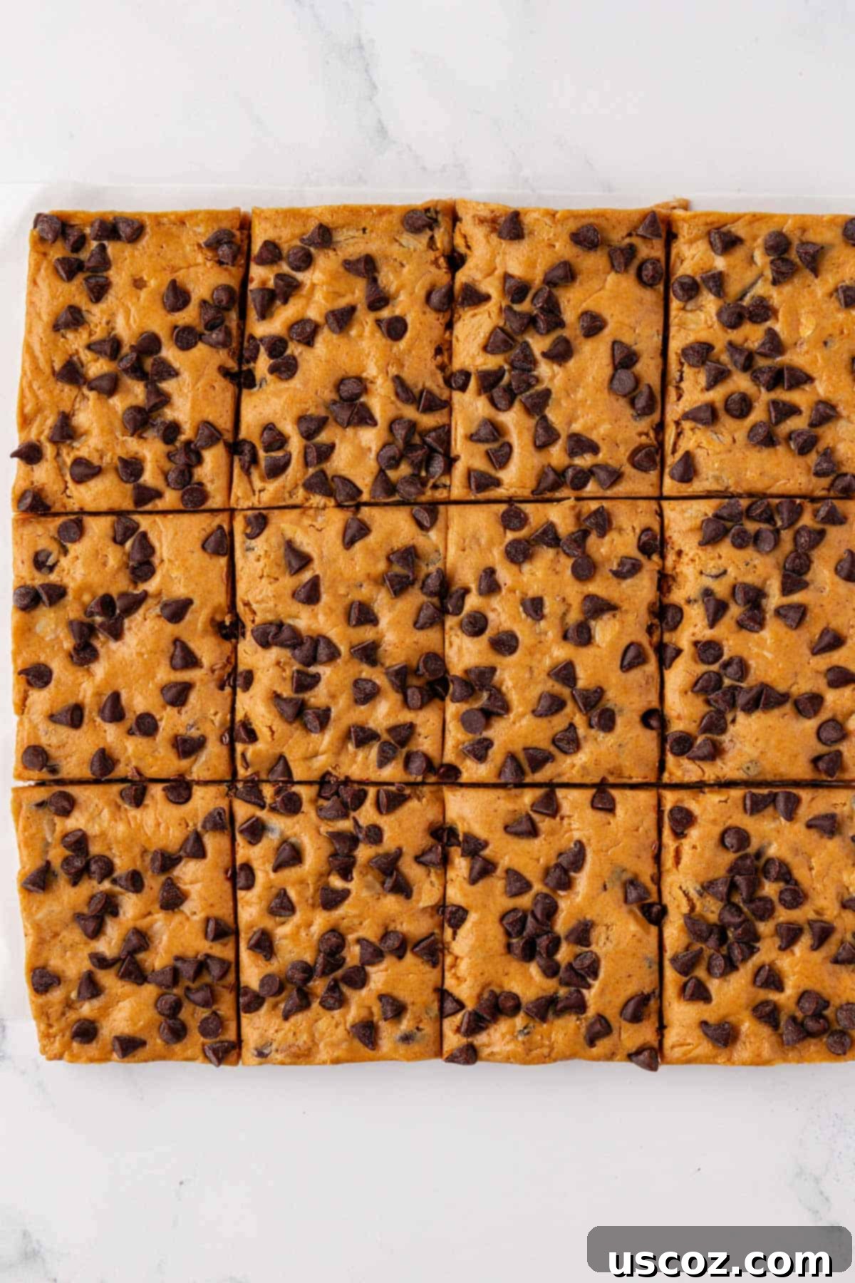 PB & Chocolate Chip Protein Bars 11 Individual no-bake peanut butter chocolate chip protein bars, neatly cut and ready to eat.