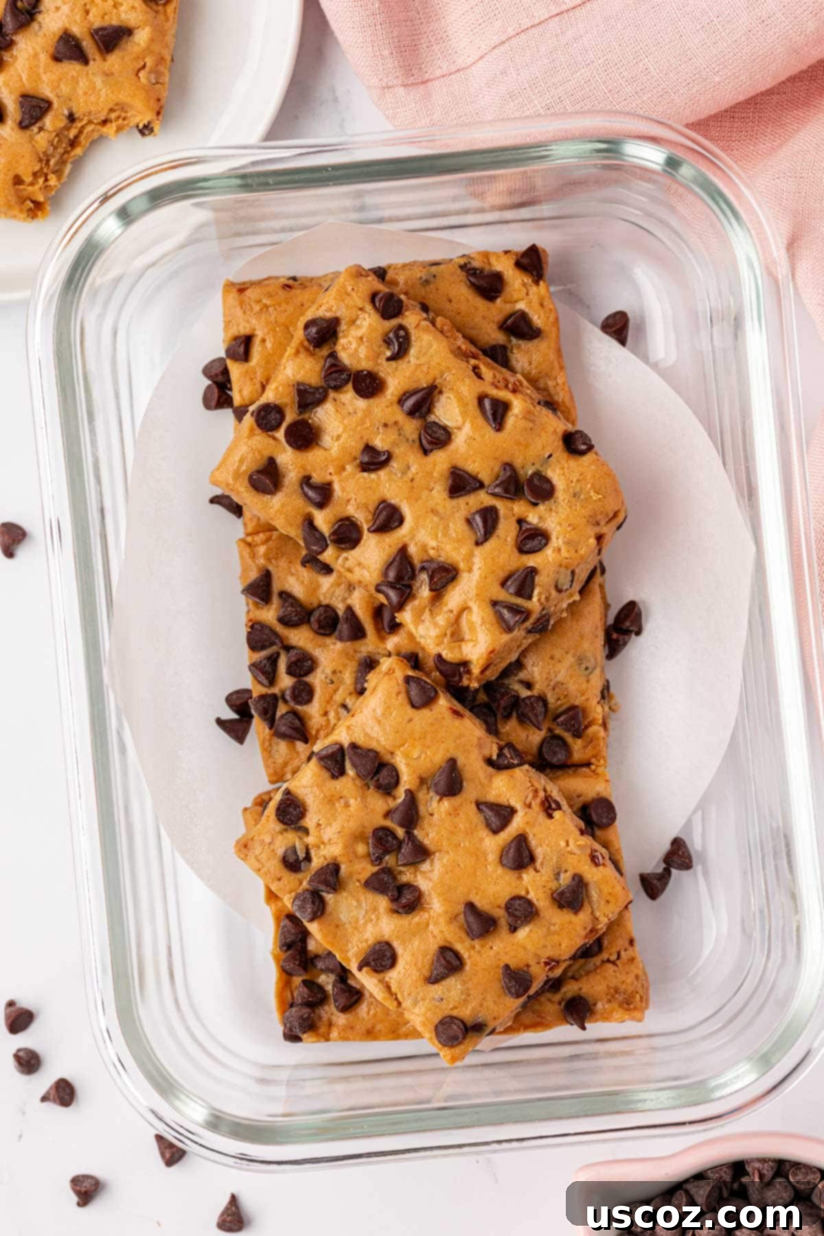 PB & Chocolate Chip Protein Bars 13 A closer look at a single peanut butter chocolate chip protein bar, showing its texture.