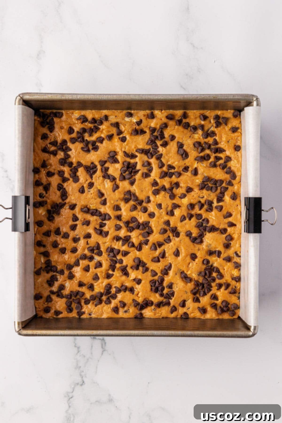 PB & Chocolate Chip Protein Bars 10 Protein bar batter topped with a generous layer of mini chocolate chips.
