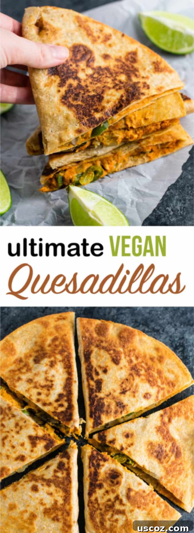Your New Favorite Vegan Quesadillas 13 Easy vegan quesadillas recipe packed full of protein and flavor. No meat, no dairy, no vegan cheese! It's a Mexican favorite gone vegan! #vegan #quesadillas #meatless #veganmexican #veganquesadilla #dinner #recipes