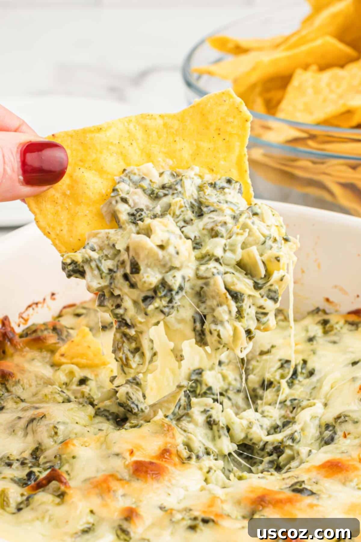 The Ultimate Baked Spinach Artichoke Dip 2 Crispy tortilla chip perfectly dipped into a warm, bubbly baked spinach artichoke dip