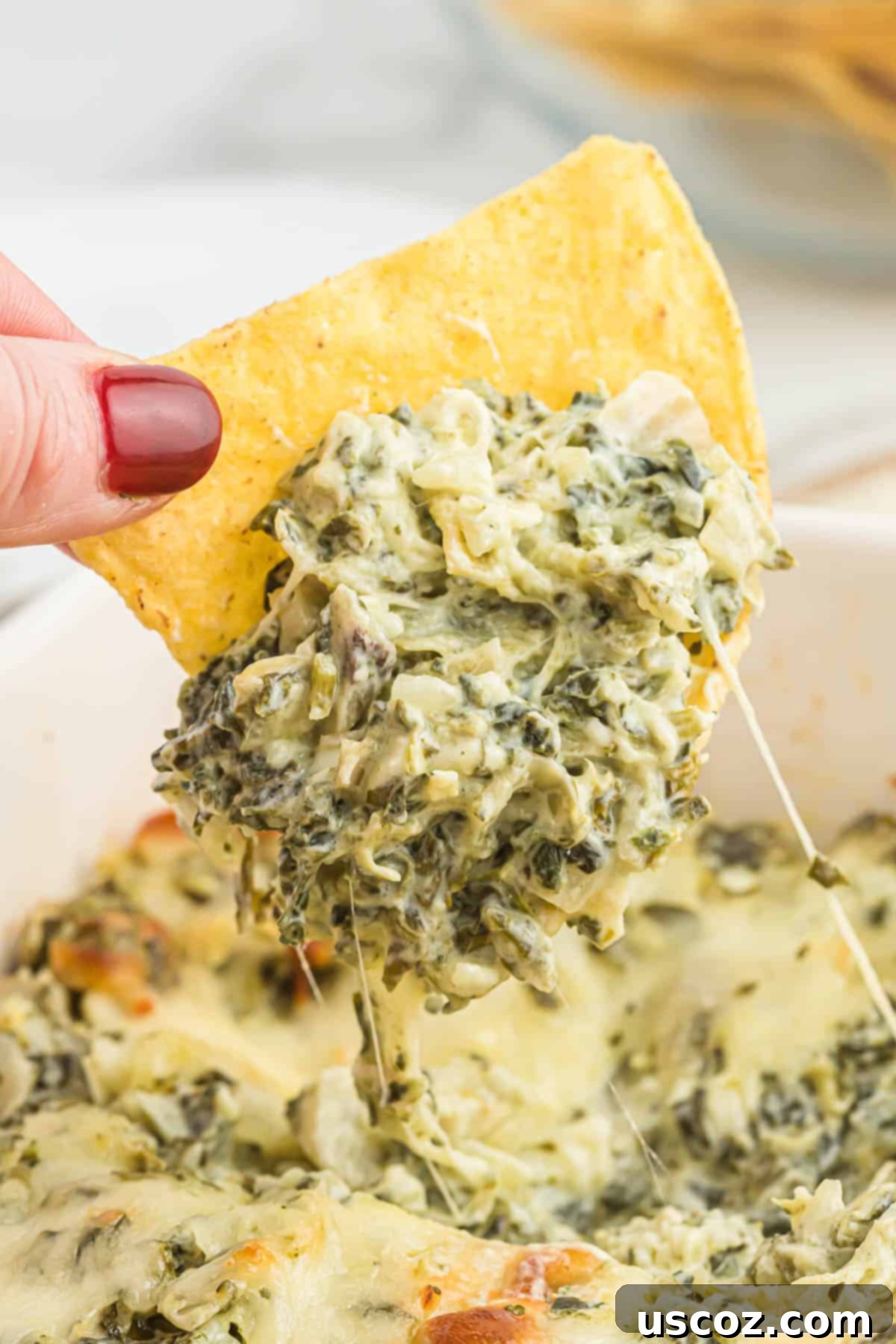 The Ultimate Baked Spinach Artichoke Dip 11 A close-up shot of a single tortilla chip being pulled from a baked spinach artichoke dip, showing its gooey, cheesy texture