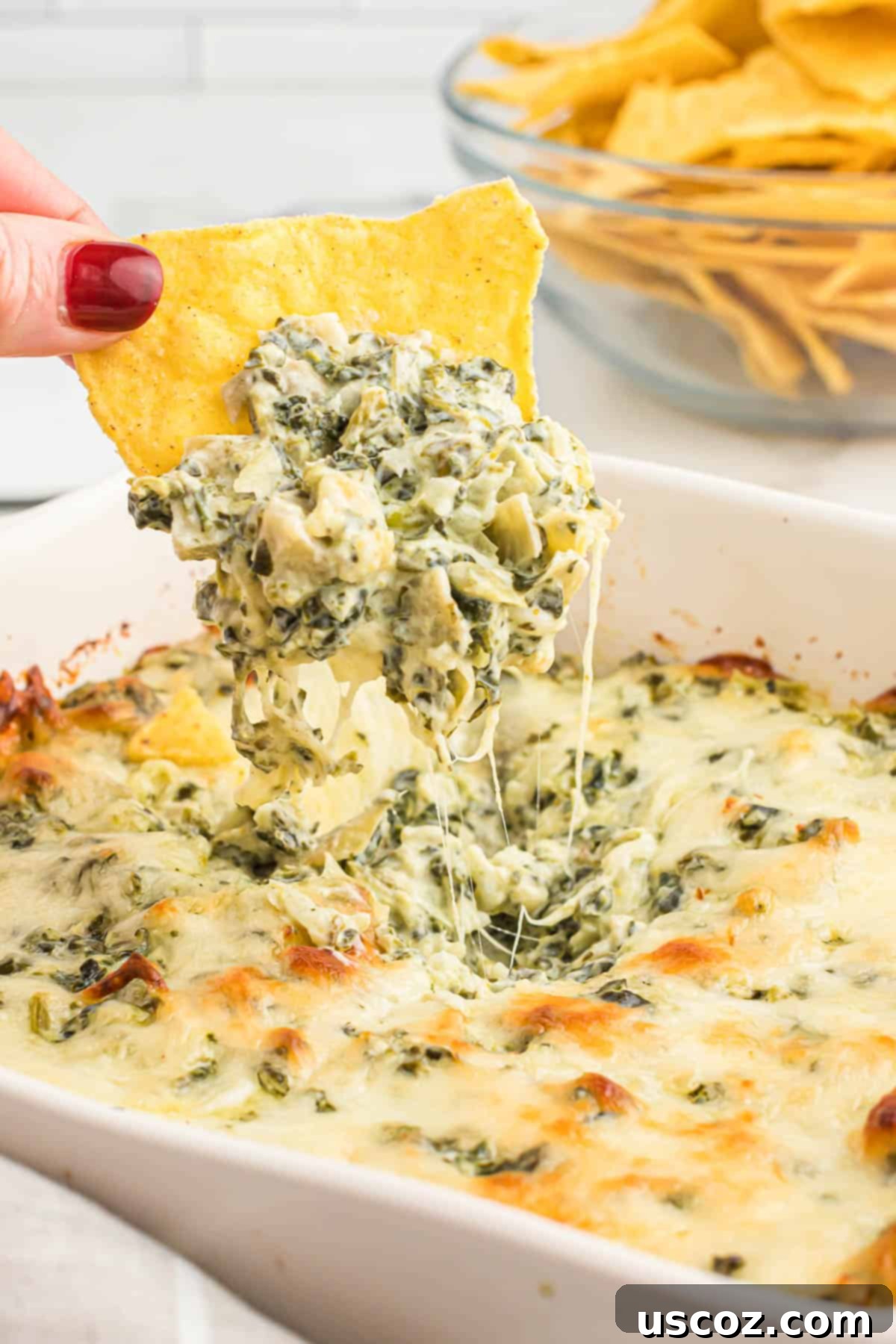 The Ultimate Baked Spinach Artichoke Dip 12 Close-up of a tortilla chip laden with creamy, hot baked spinach artichoke dip, ready to eat