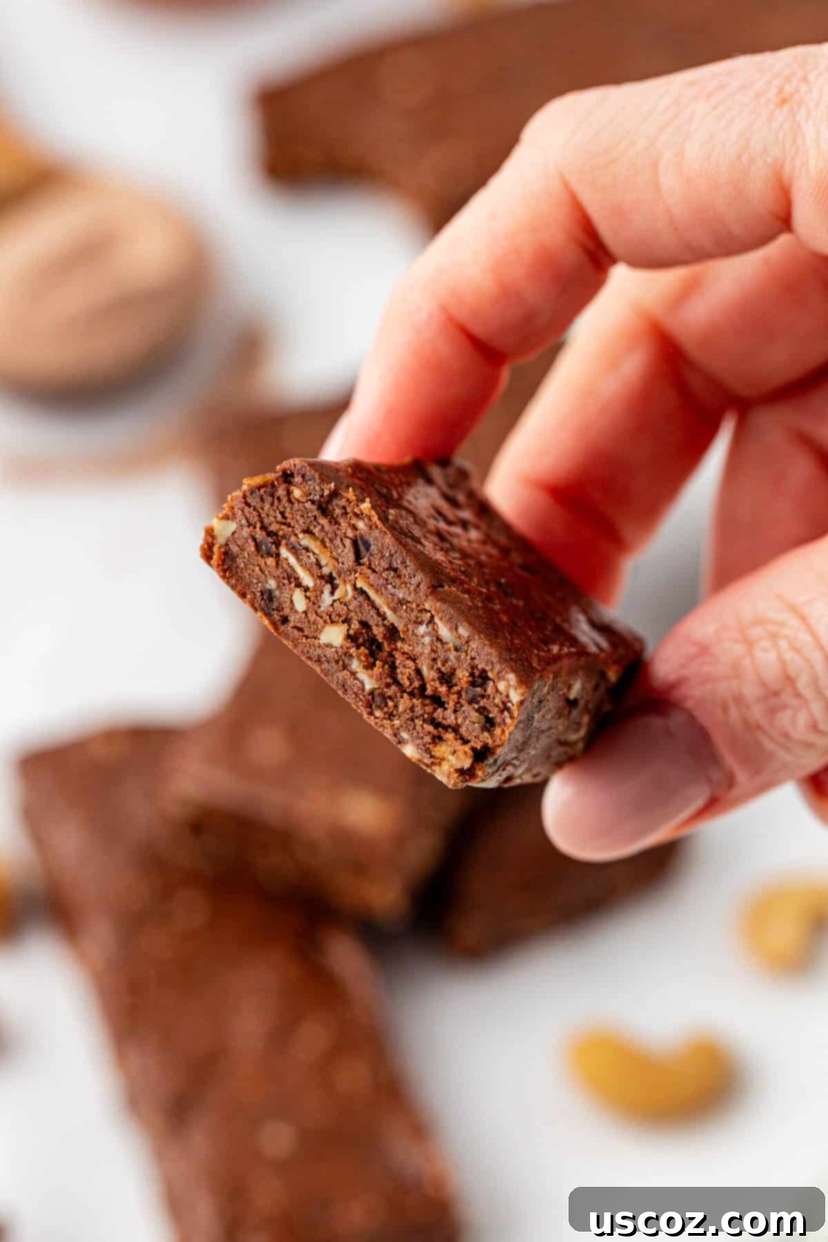 Chocolate Cashew Protein Bars 13 no bake chocolate protein bars
