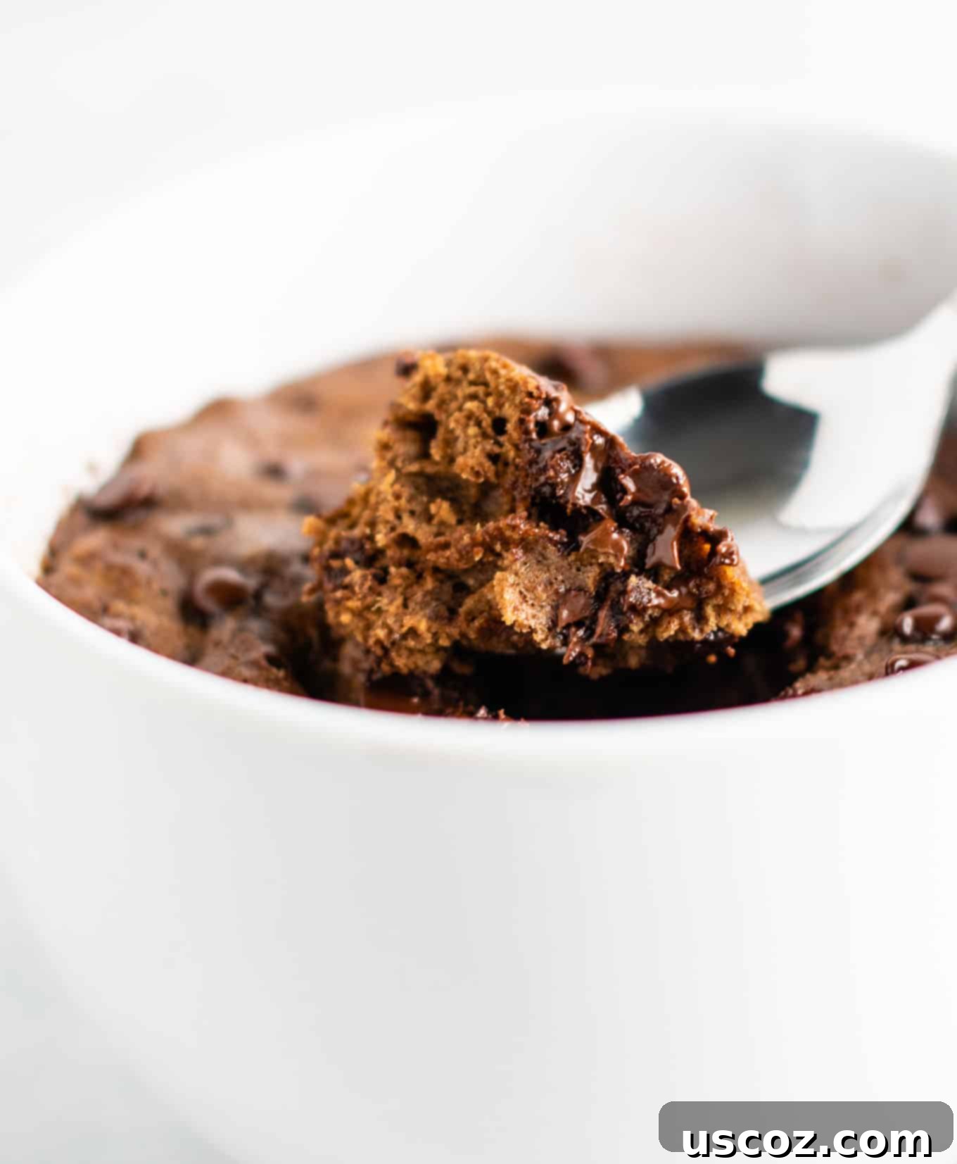 chocolate mug cake made with easy to find flours. Perfectly fluffy and so decadent - serve with ice cream!