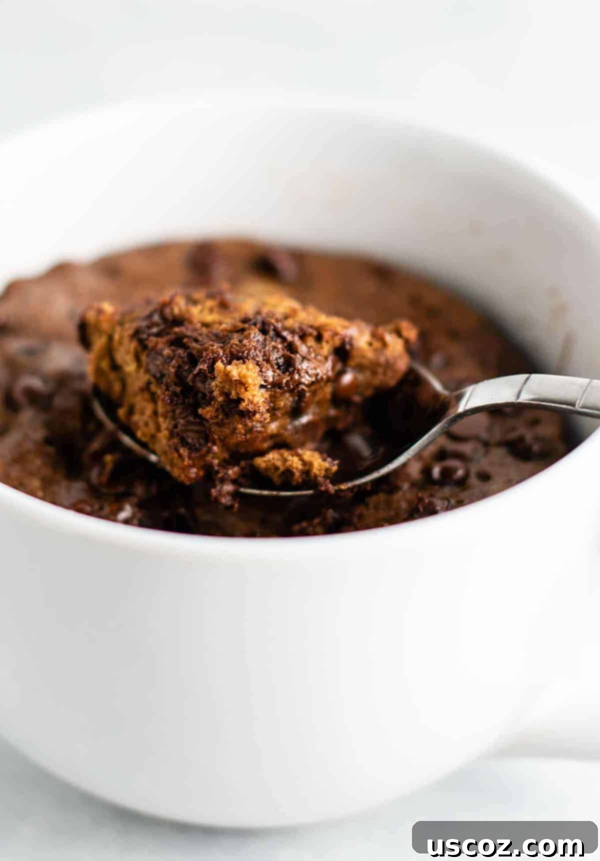 Gluten free chocolate mug cake made with easy to find flours. Perfectly fluffy and so decadent - serve with ice cream!