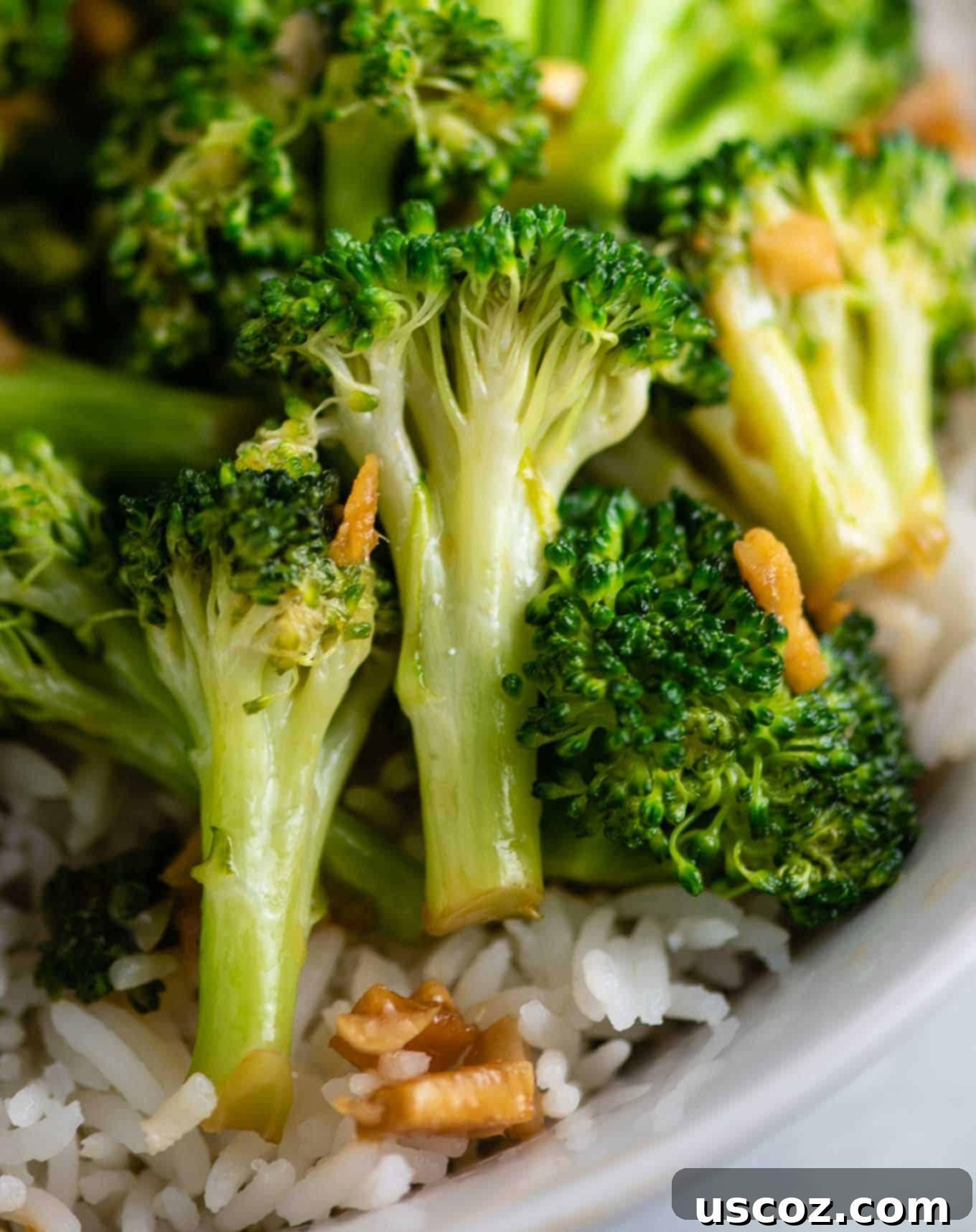 Stir Fry Stars: Essential Veggies 13 broccoli stir fried florets