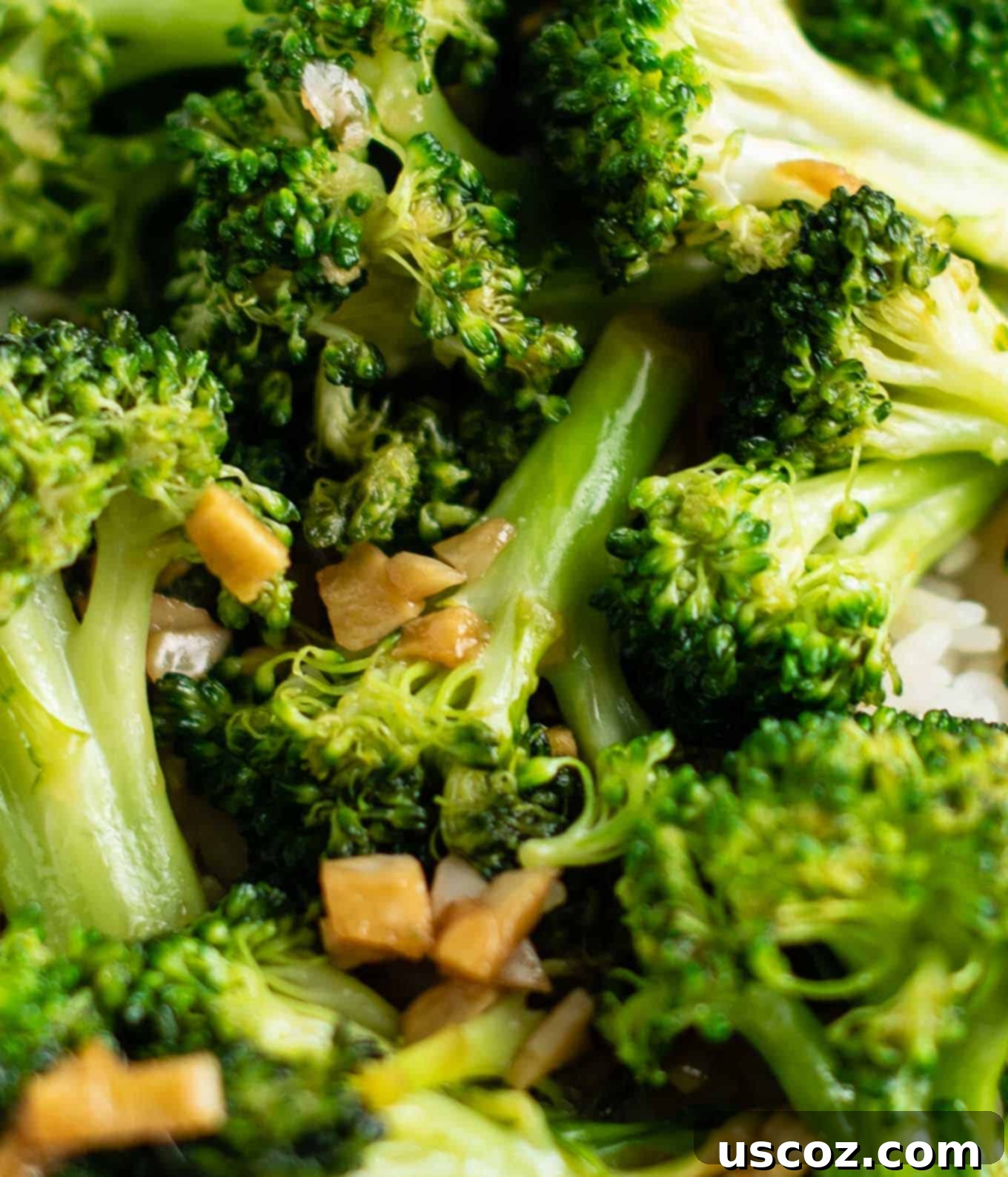 Stir Fry Stars: Essential Veggies 18 stir fried broccoli