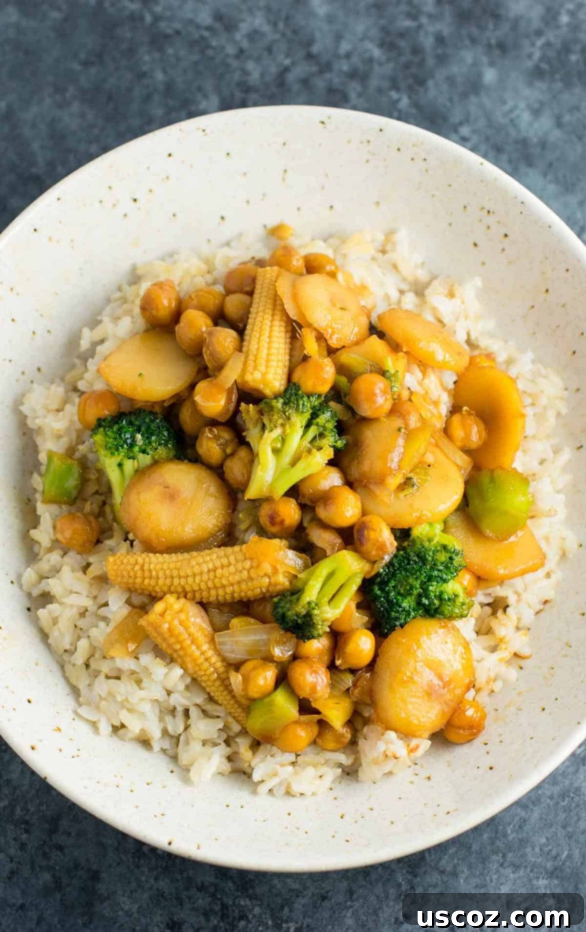 Stir Fry Stars: Essential Veggies 32 vegan chickpea stir fry in a bowl over brown rice