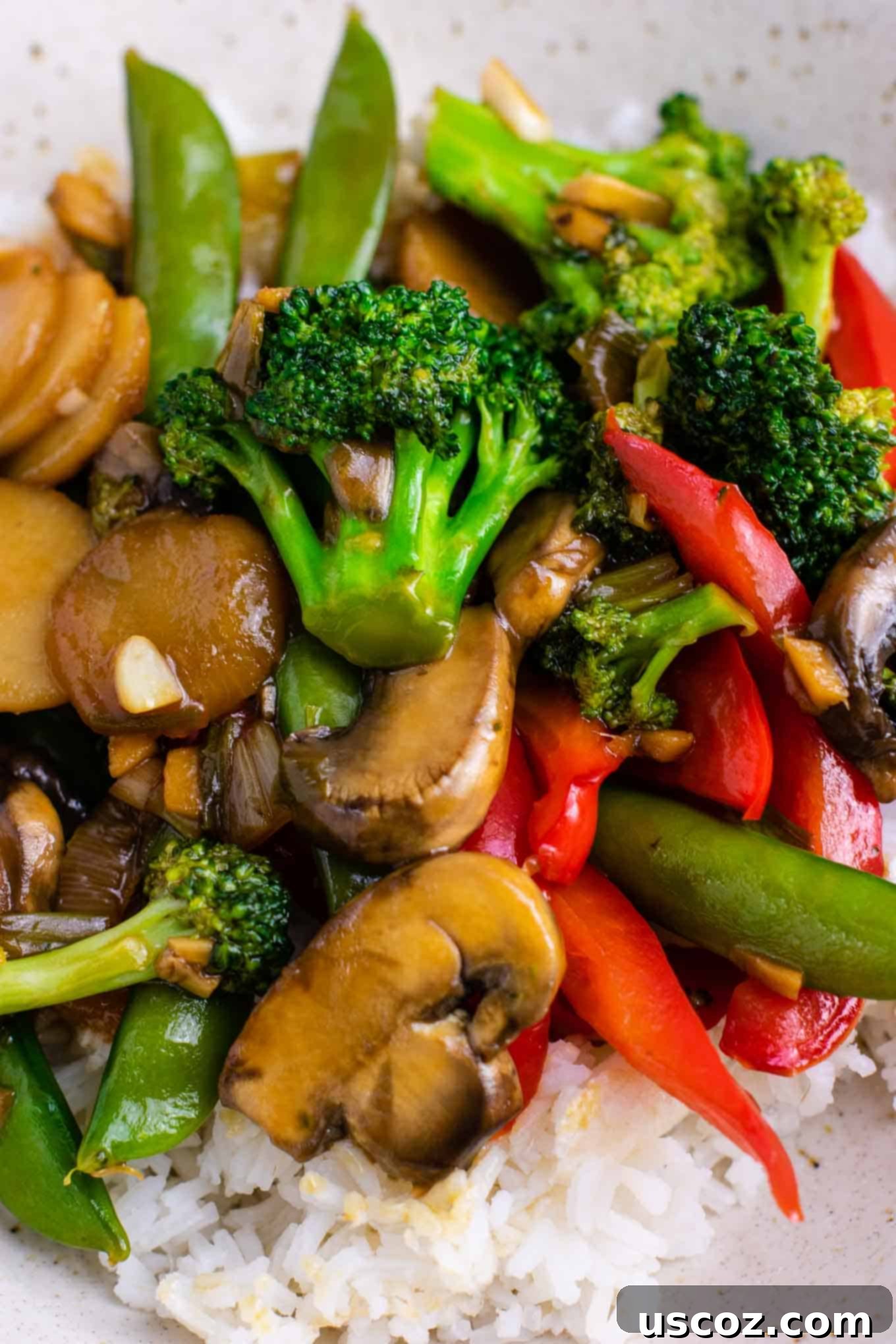 Stir Fry Stars: Essential Veggies 8 Veggie stir fry with broccoli, bell pepper, mushroom, snap peas, onion, garlic, and ginger