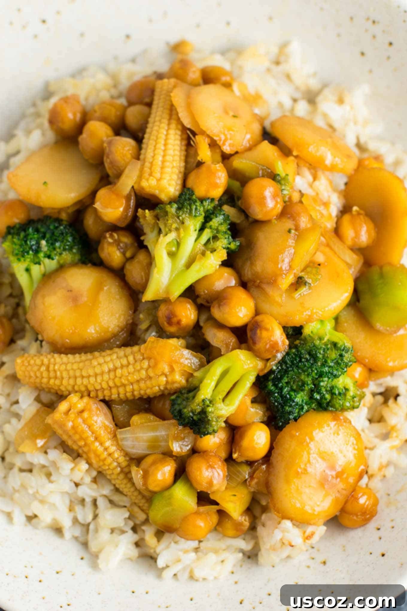 Stir Fry Stars: Essential Veggies 10 chickpea water chestnut baby corn broccoli stir fry