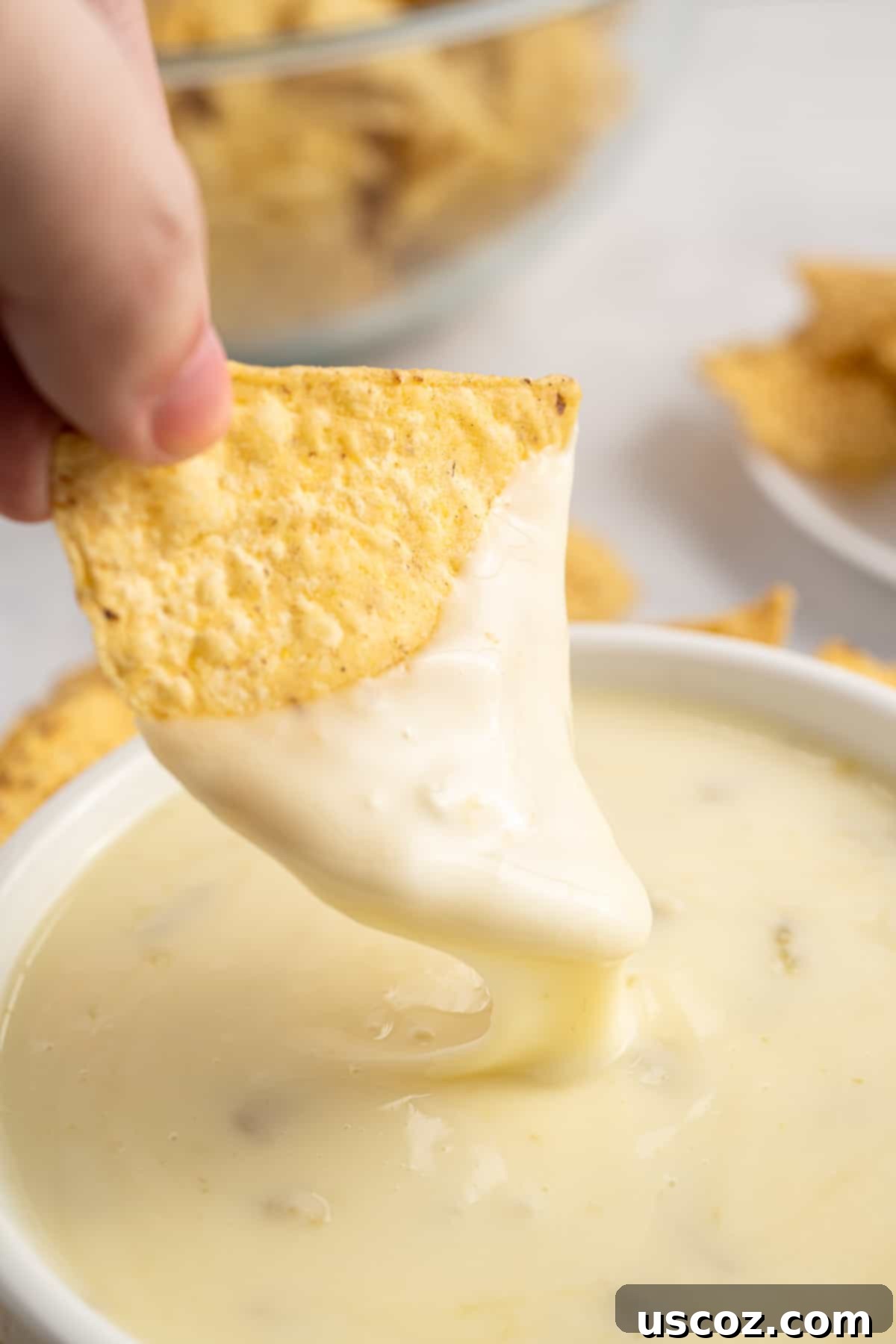 Plant-Powered Mexican Feasts 6 A tortilla chip being dipped into a bowl of creamy Queso Blanco