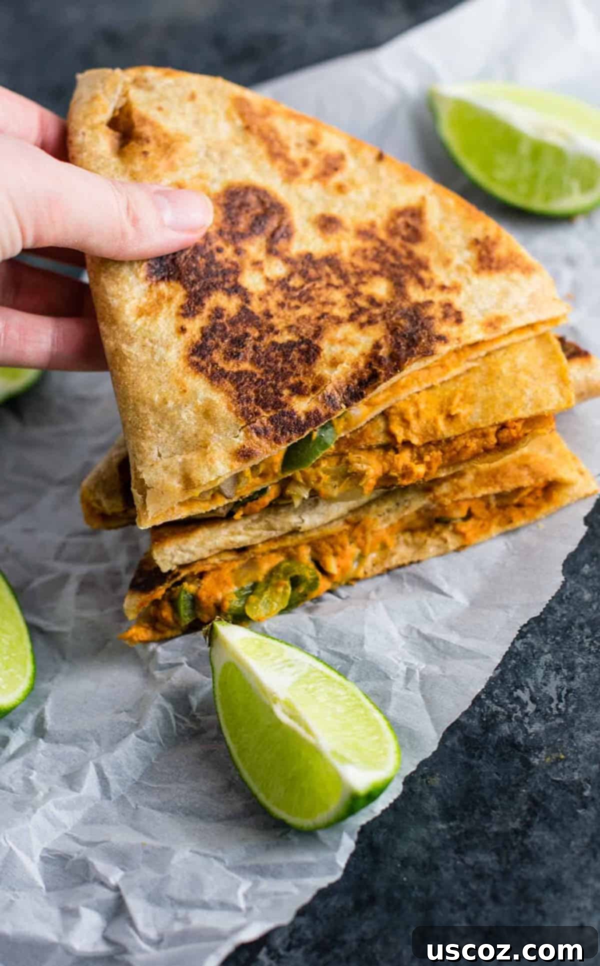 Plant-Powered Mexican Feasts 11 Easy vegan quesadillas recipe, golden brown and filled with savory plant-based ingredients