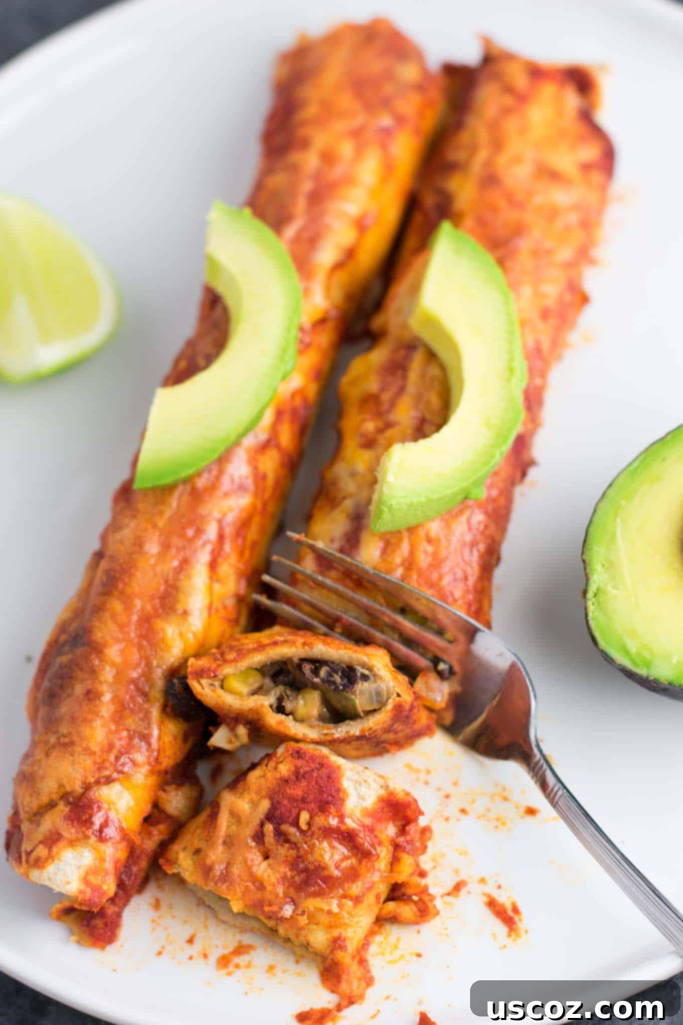 Plant-Powered Mexican Feasts 12 Plate of the best ever veggie enchiladas, covered in sauce and melted cheese