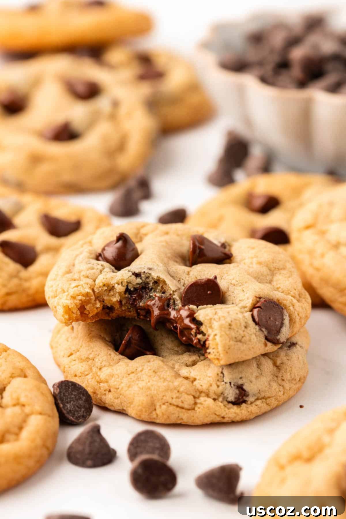 Delicious Vegan Chocolate Chip Cookies 2 close-up of vegan chocolate chip cookies on a cooling rack, showing their soft texture and melted chocolate chips